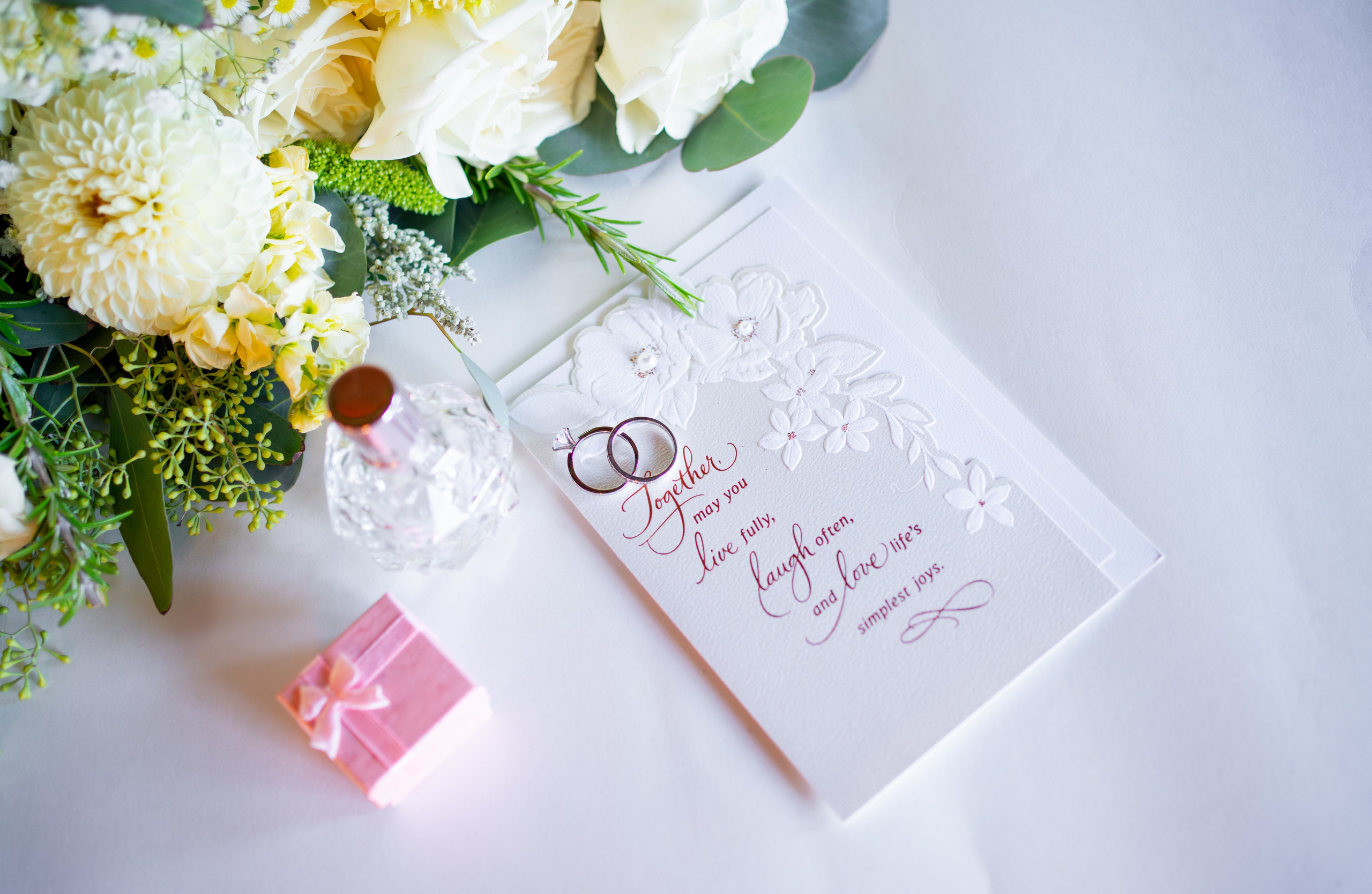 Aleksey & Samuella. Sacramento Photographer — Olga Maltseva based in California