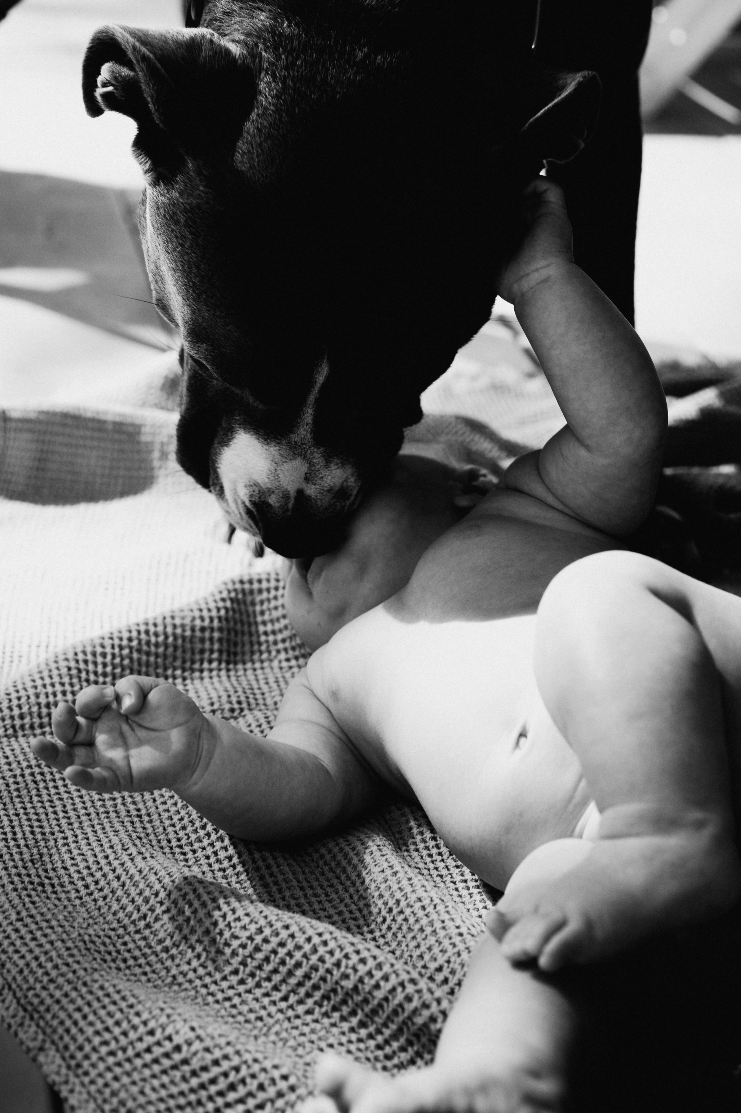 Baby. Elena Baturina Photography