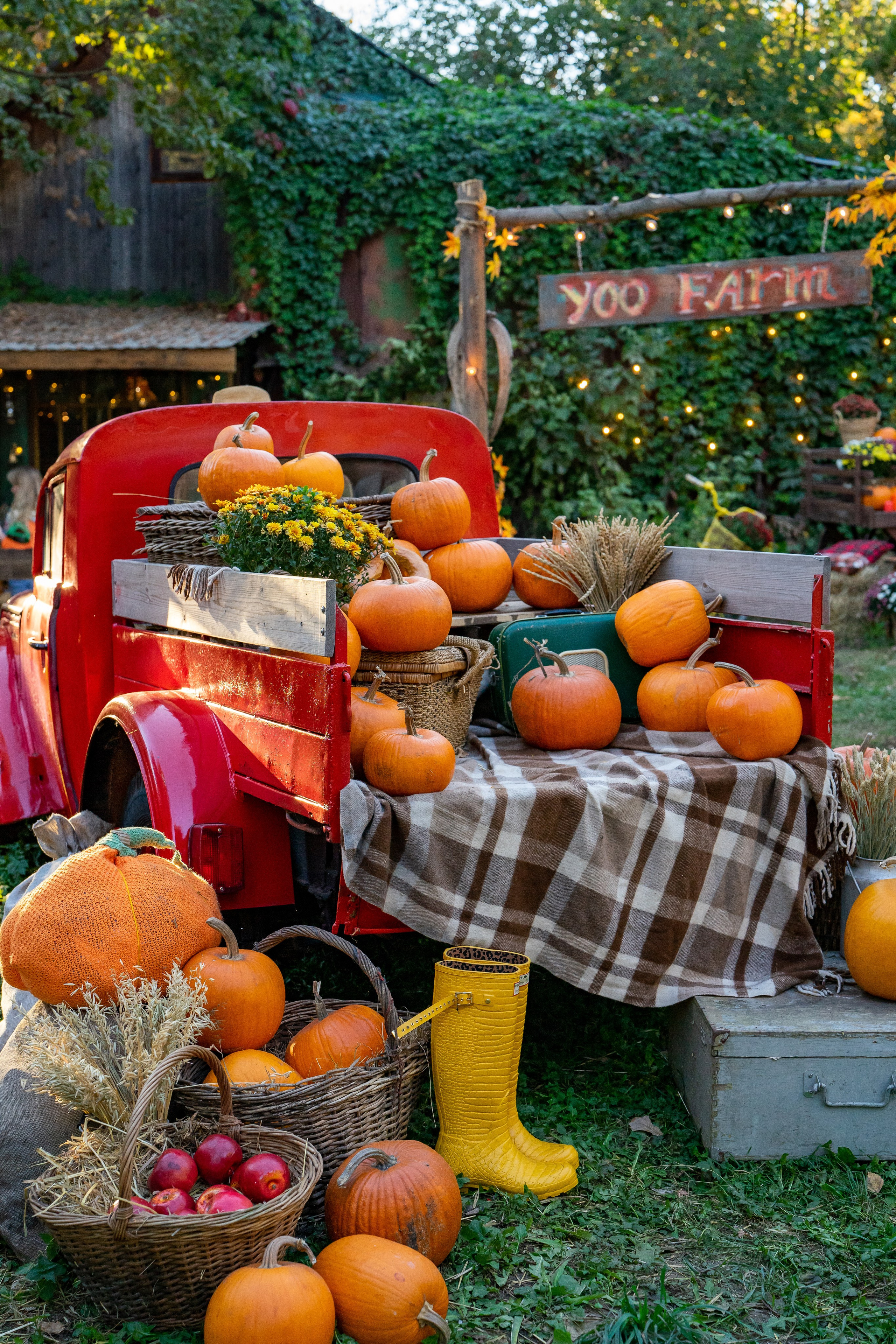 Осенняя Love Story. Ваш фотограф Tetiana Kolos, найду самый удачный ракурс и словлю момент