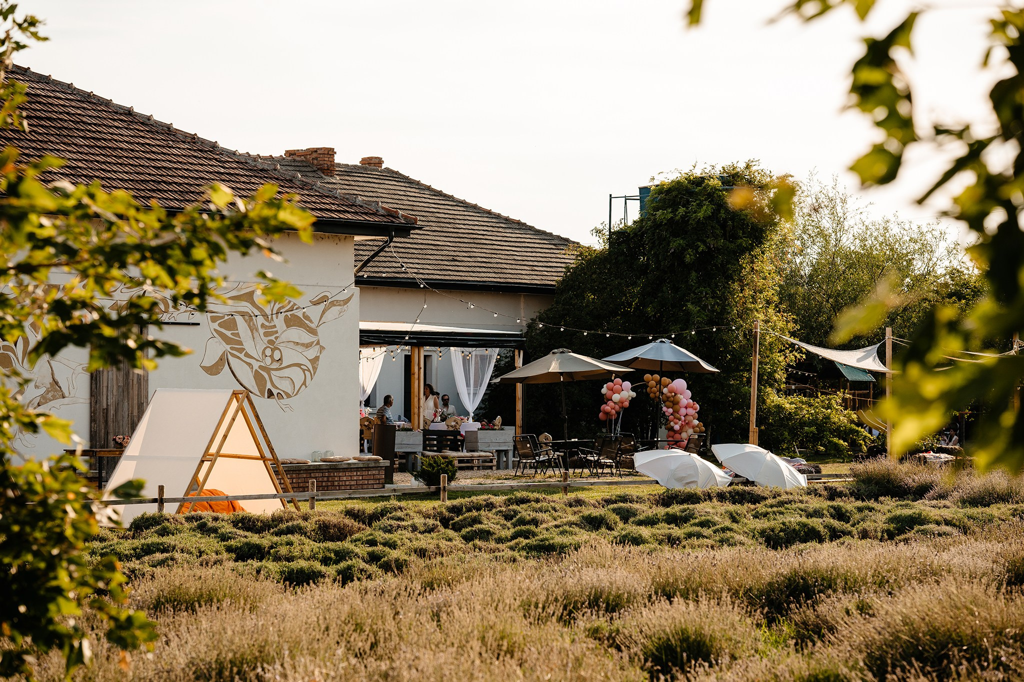 Amina. Fotograf evenimente. Fotograf nunta. Fotograf Botez. Mihaela Savu