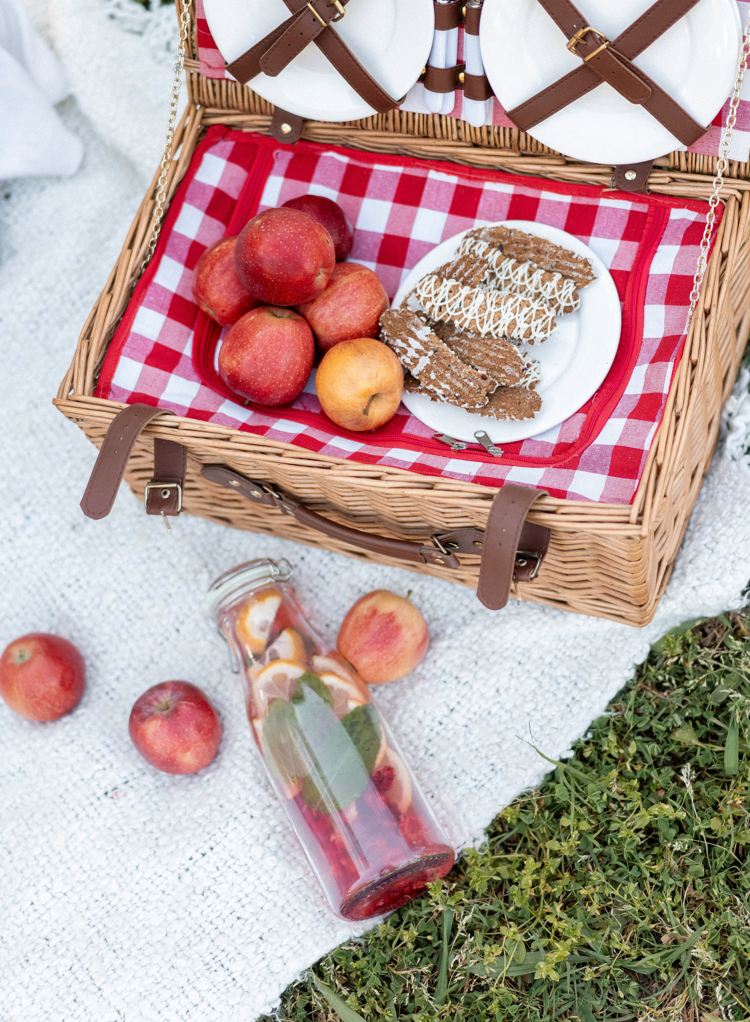 Beshta family. Family photographer in Sacramento | Sofia Pavenko