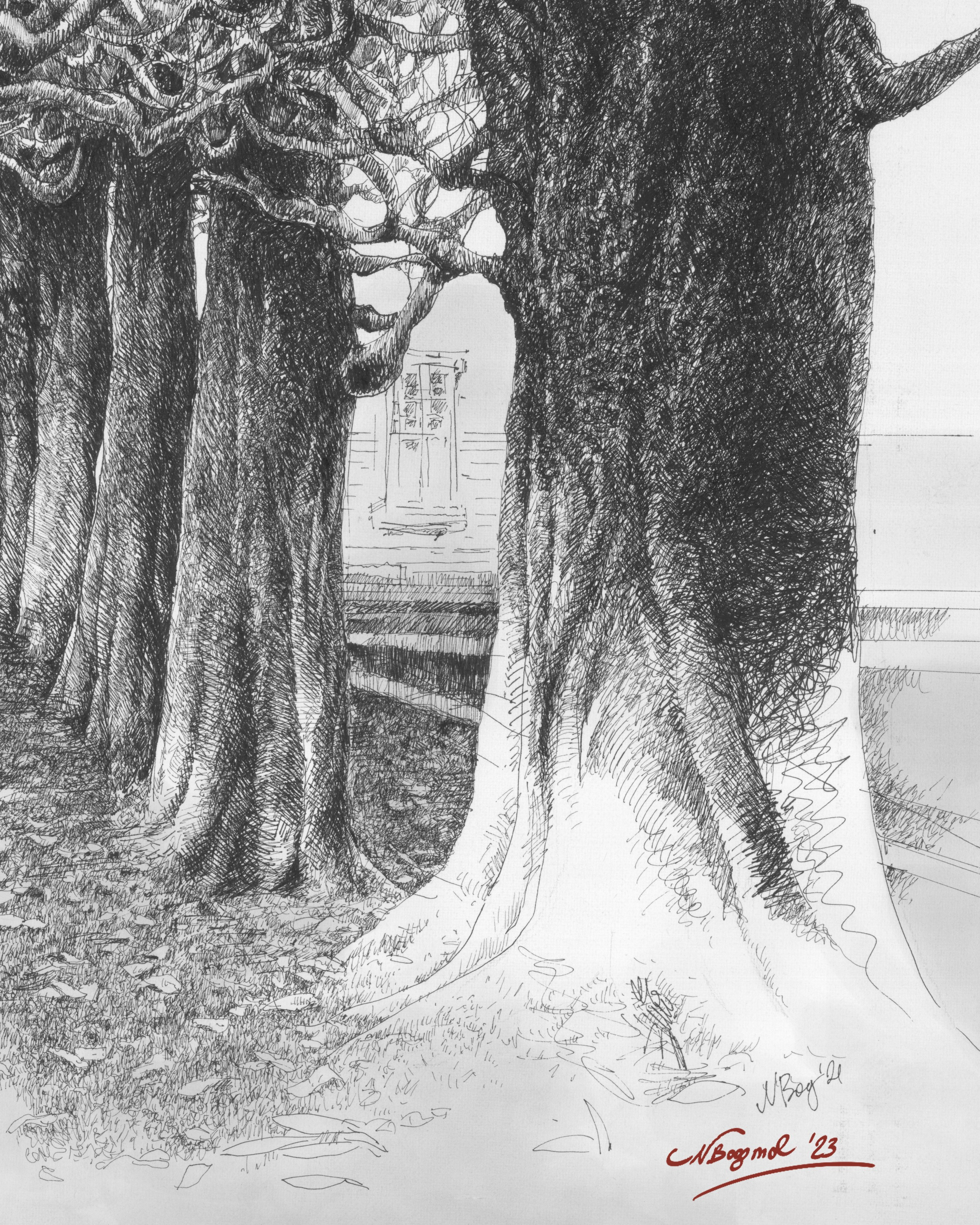 Directora, Fotógrafa y Artista en Valencia Natasha Bogomolova