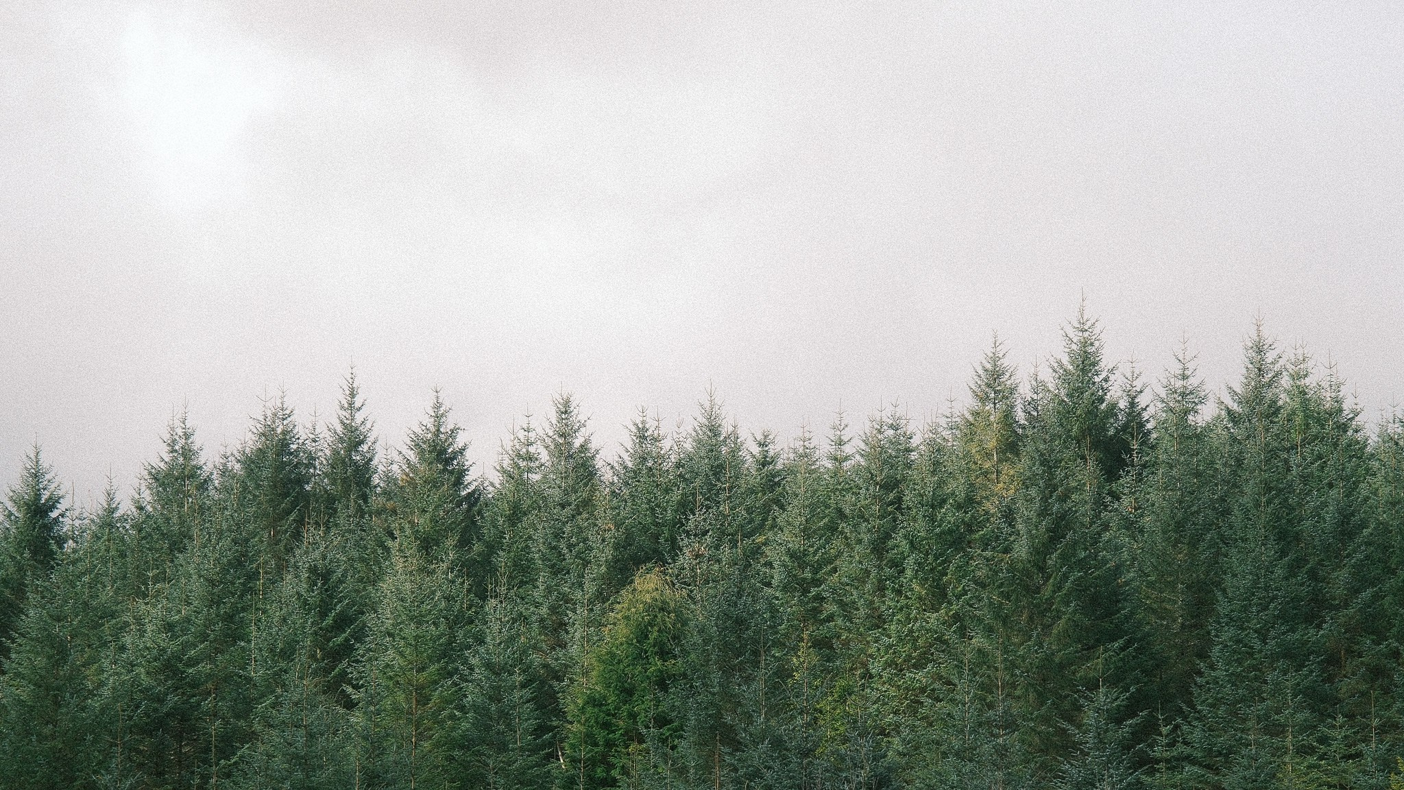 Wales Road Trip 2026. Callum Ecobichon