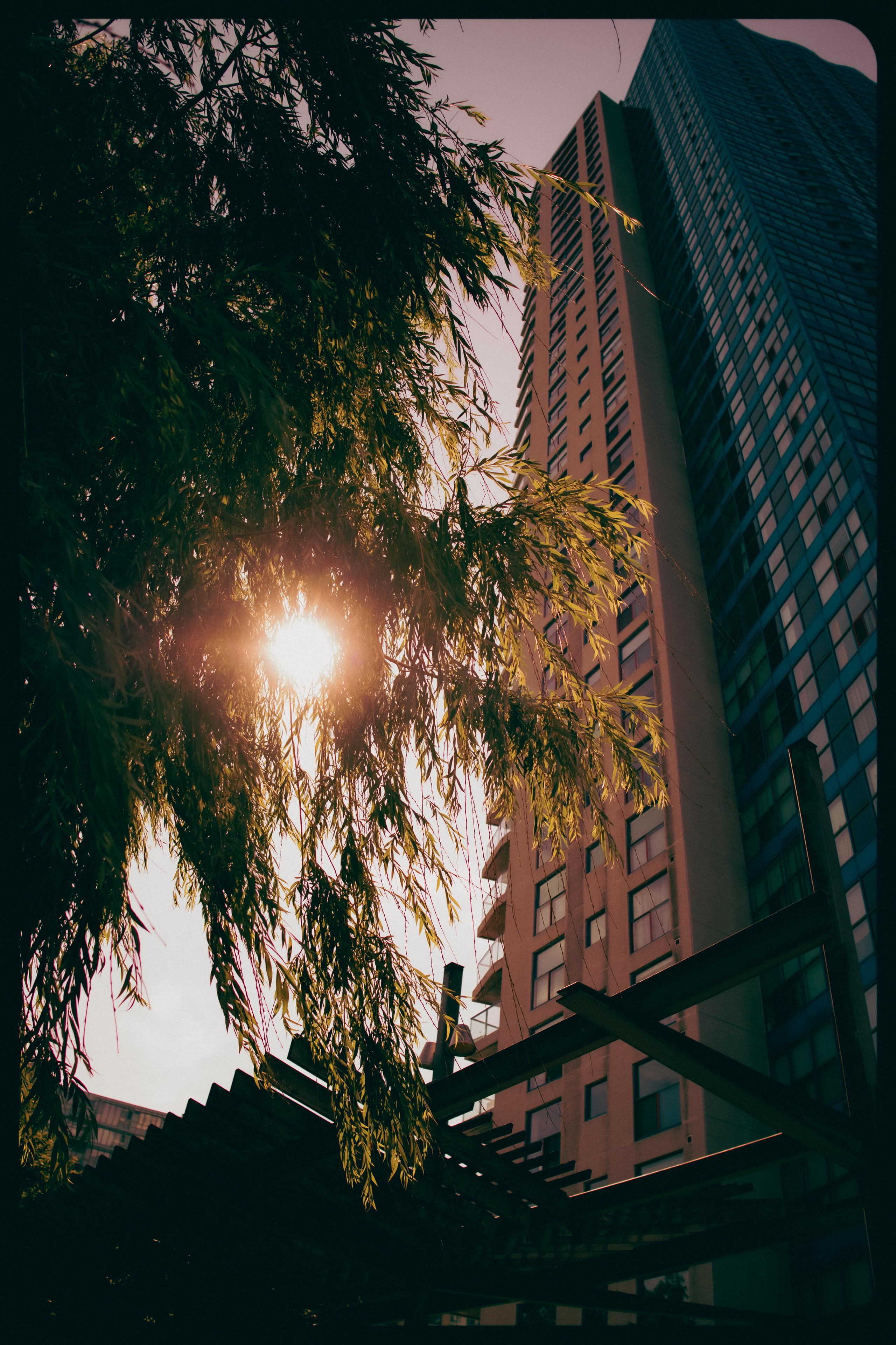 Street, urban photography for print by mkn vsiual - Location: Toronto,ON CANADA