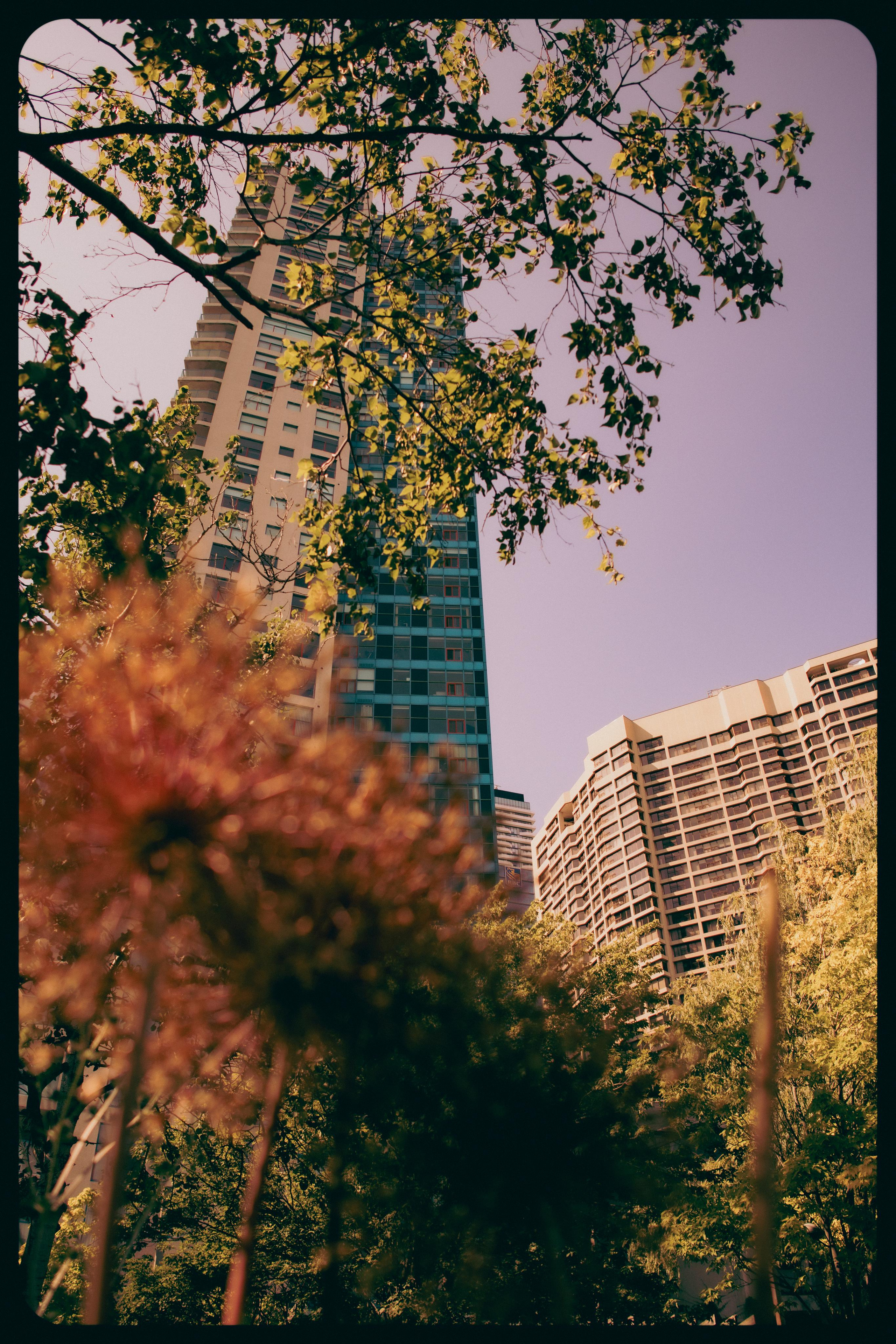 Street, urban photography for print by mkn vsiual - Location: Toronto,ON CANADA