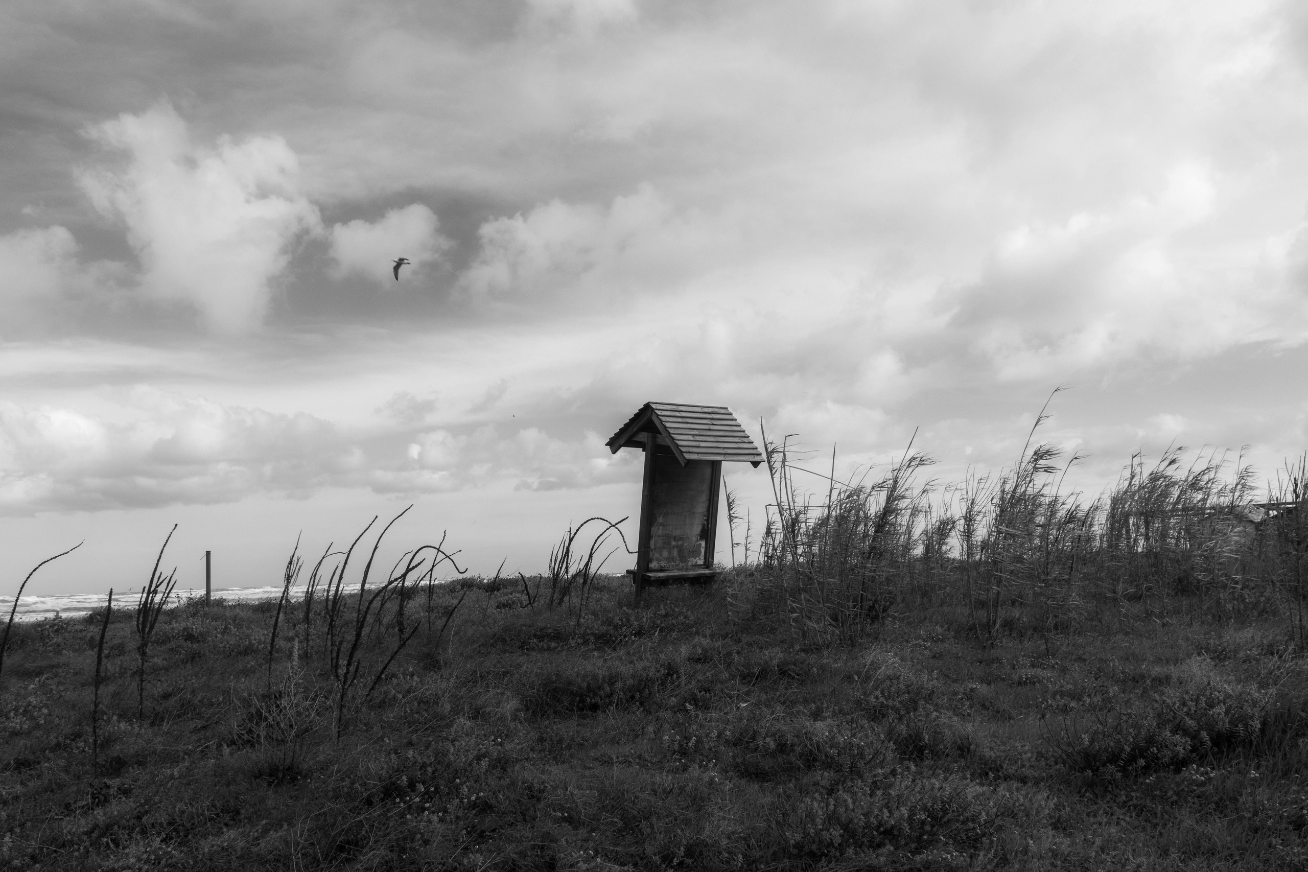 Landscape. Portrait and Street photographer in Vilnius Edgar Shaipunas