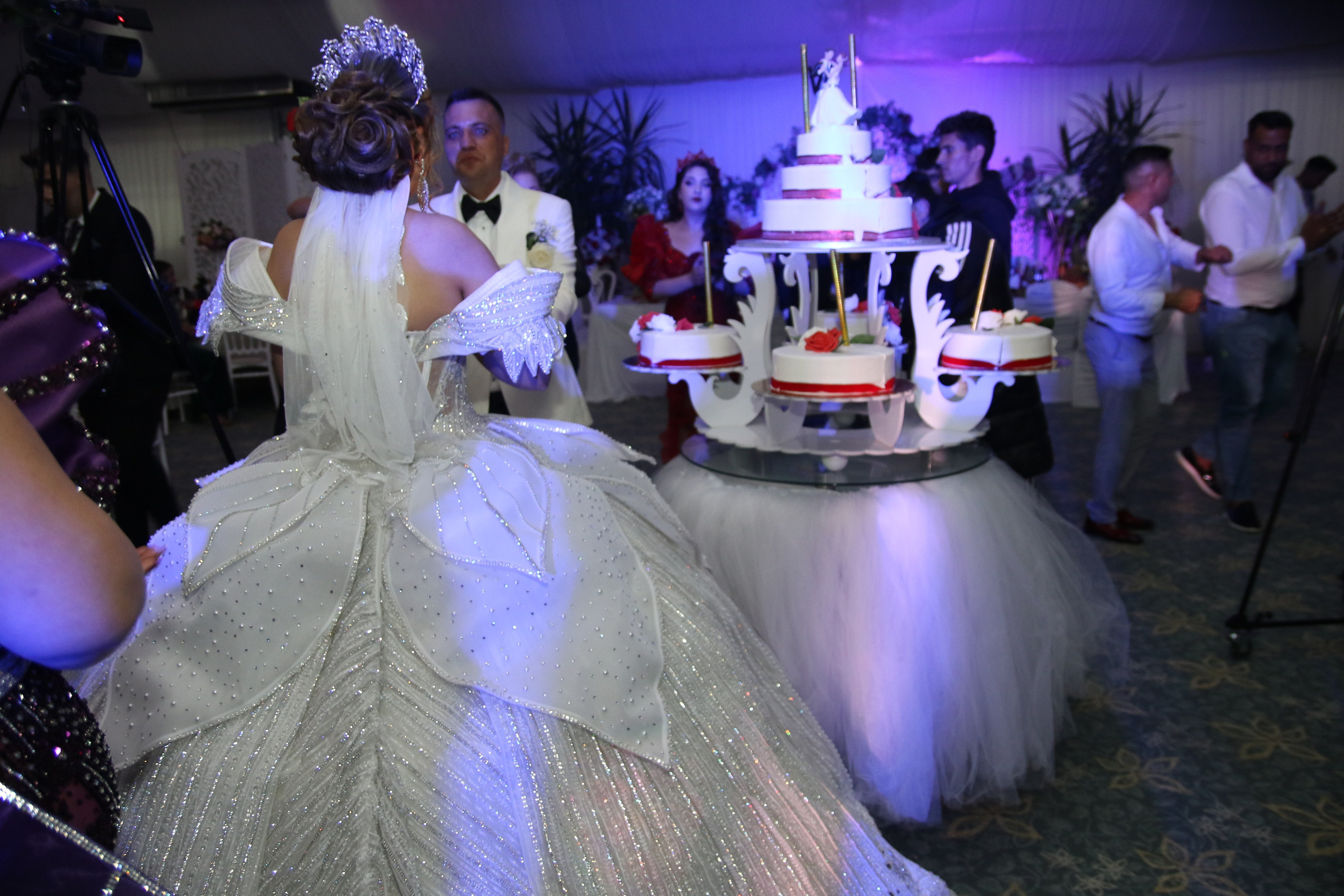 BORIS & ALINA. PETRU BYZO - family and children photographer in ROMANIA