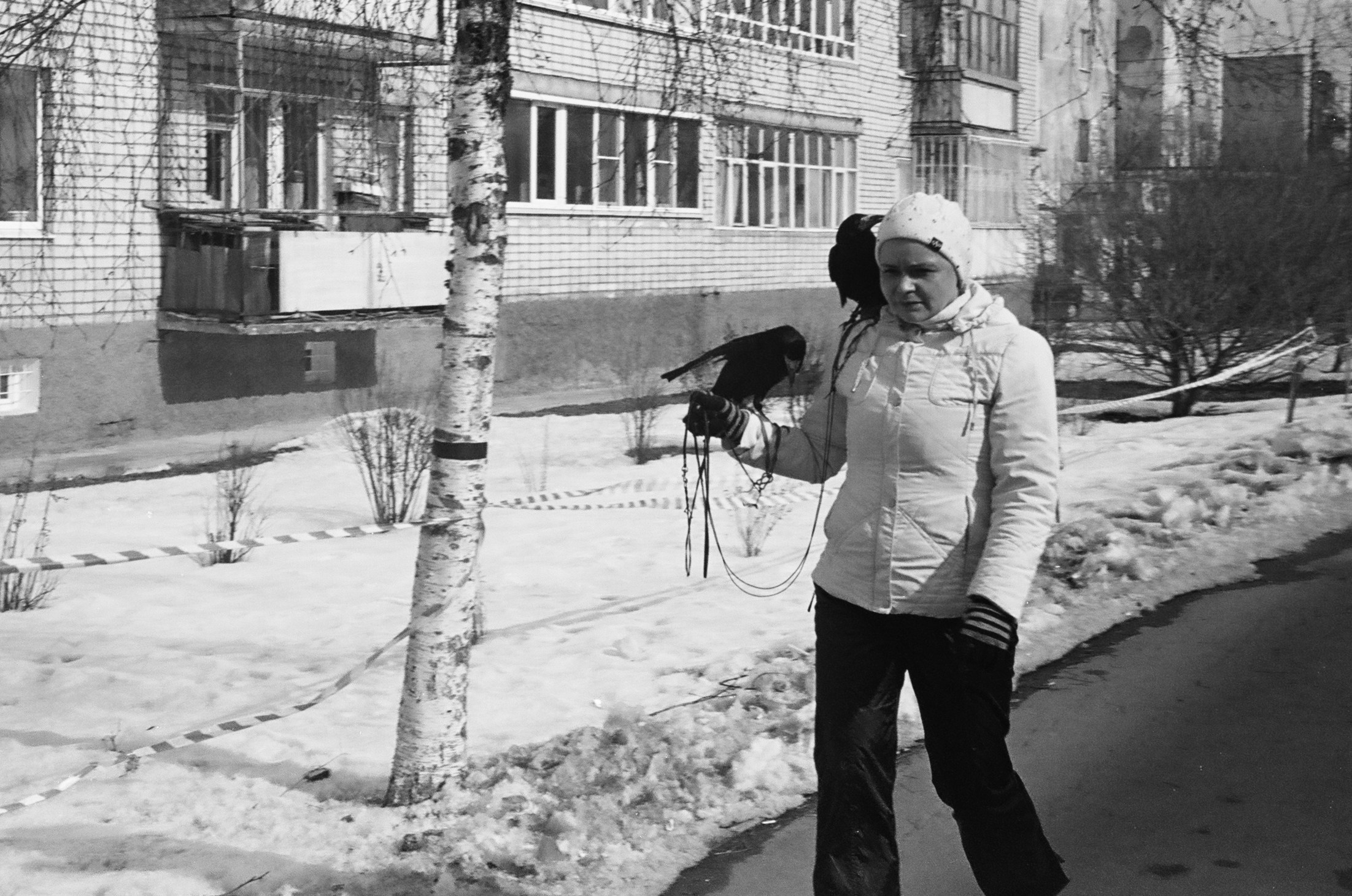 Вологда Архив. «Фотохроники»