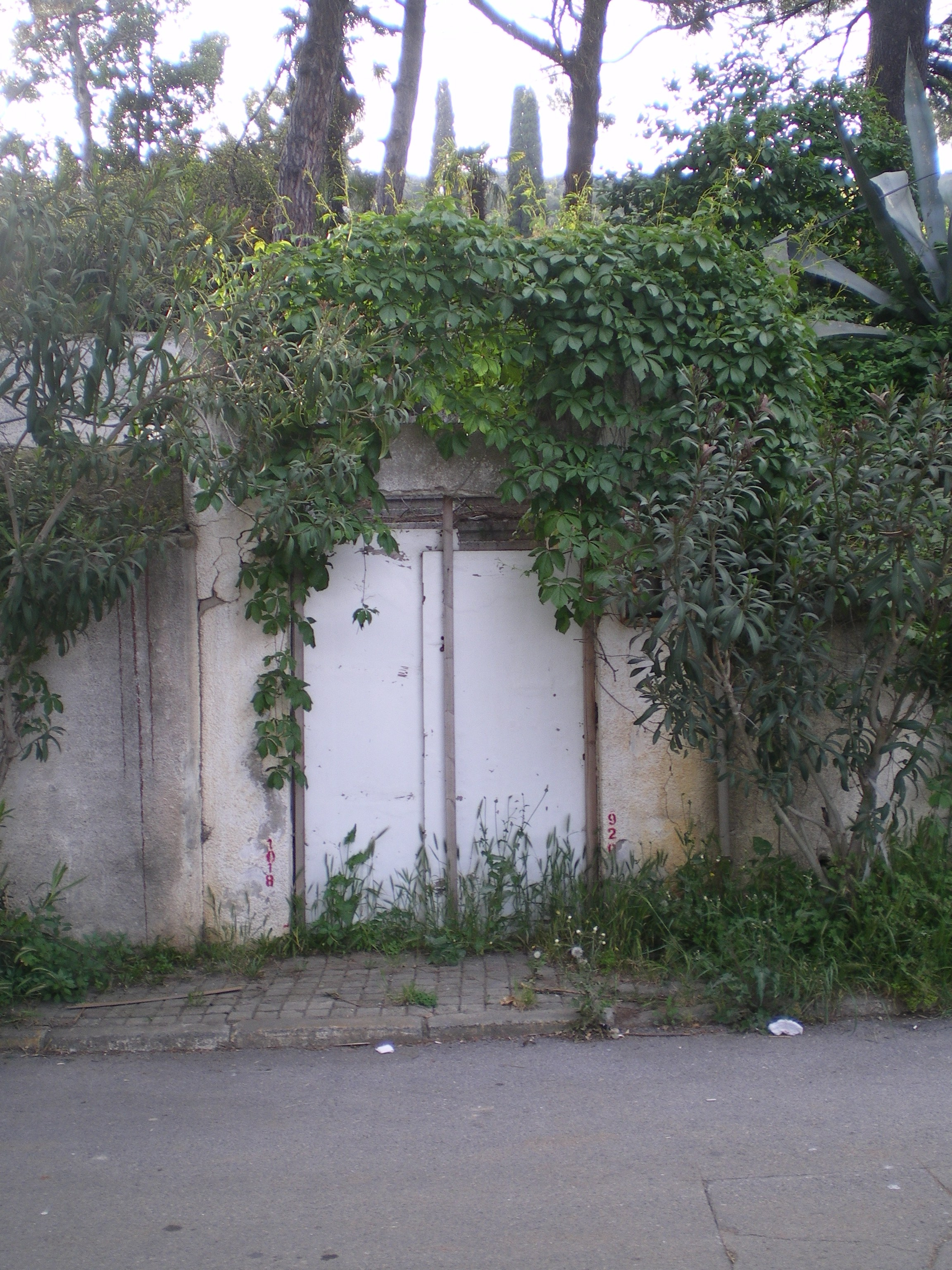 Ode to istanbul. Daria Sukhikh | Photography