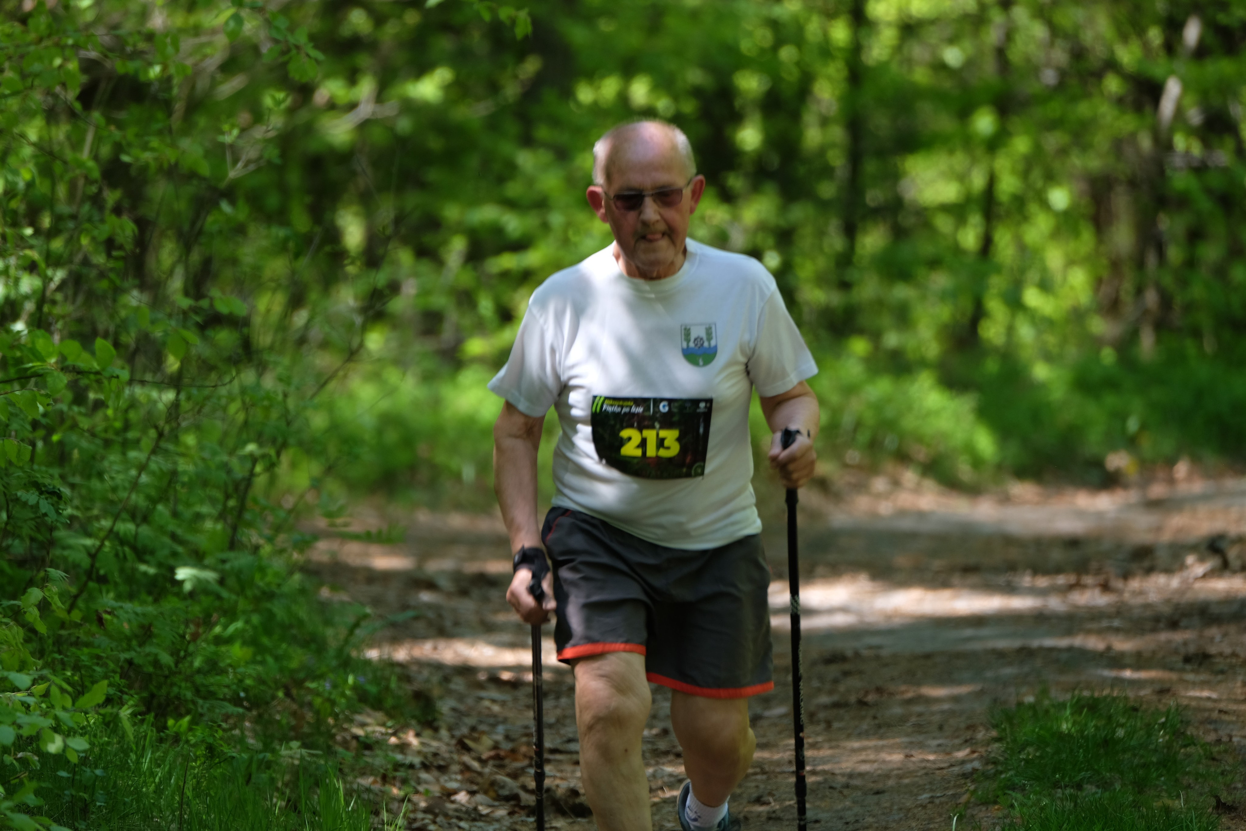 Aleksandryjska Piątka po lesie. Main