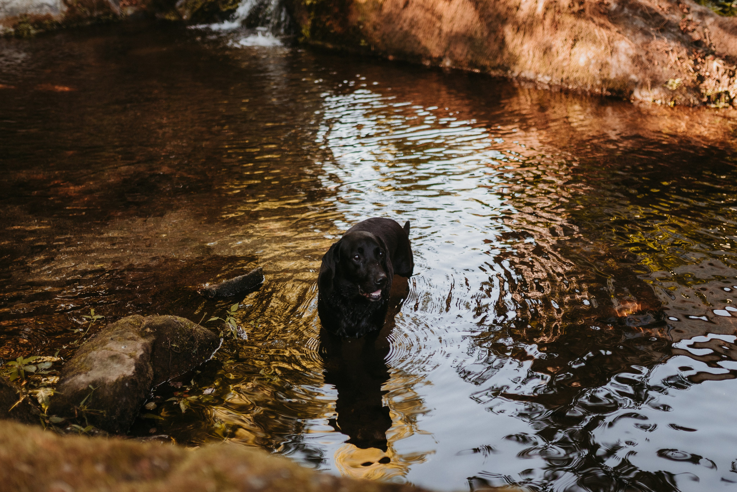 Alba & Jorge. Photographe de mariage et de famille à Braga — Alexandra Mieres Photography