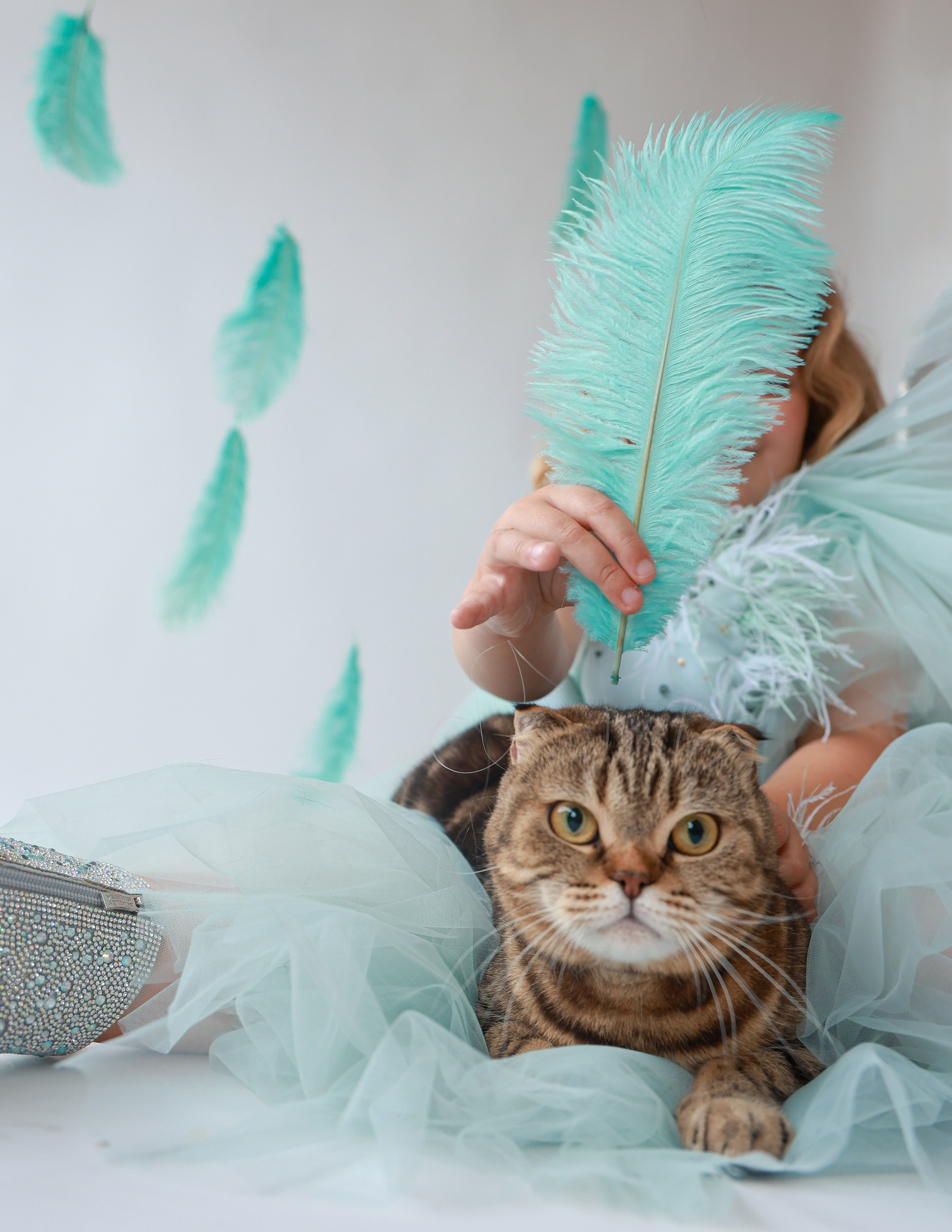 PETS&PEEPS x HOOLIGANS MAGAZINE. Photo | Video creator San Diego CA