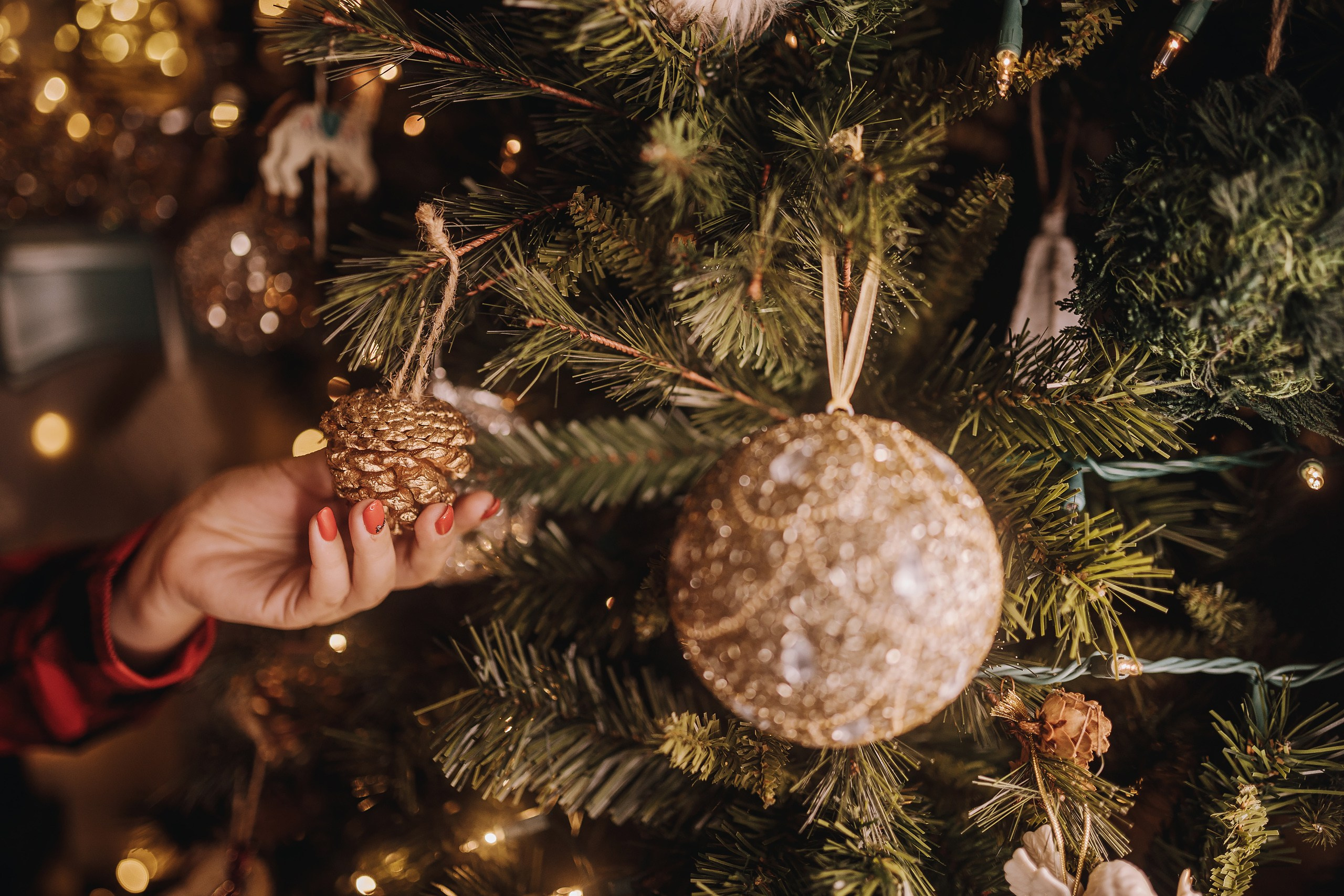 25.11.2023 Christmas Photoshoot 1. Wedding family event photographer in Chicago Nick Yushevich