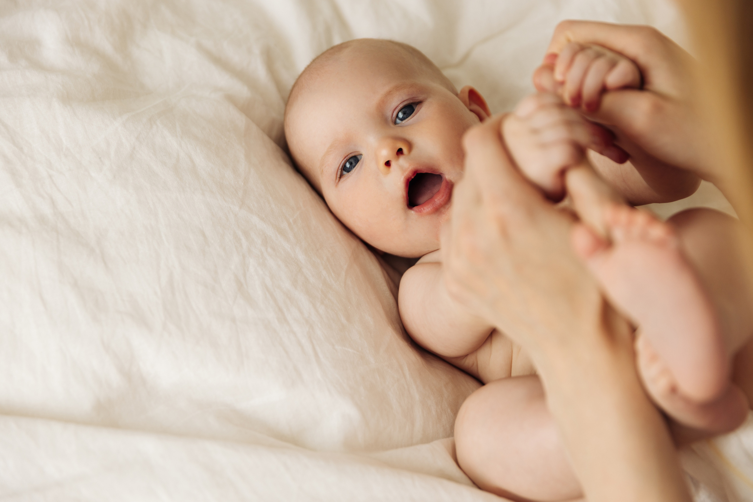 General gallery. Photographer Mark Dycmhenko