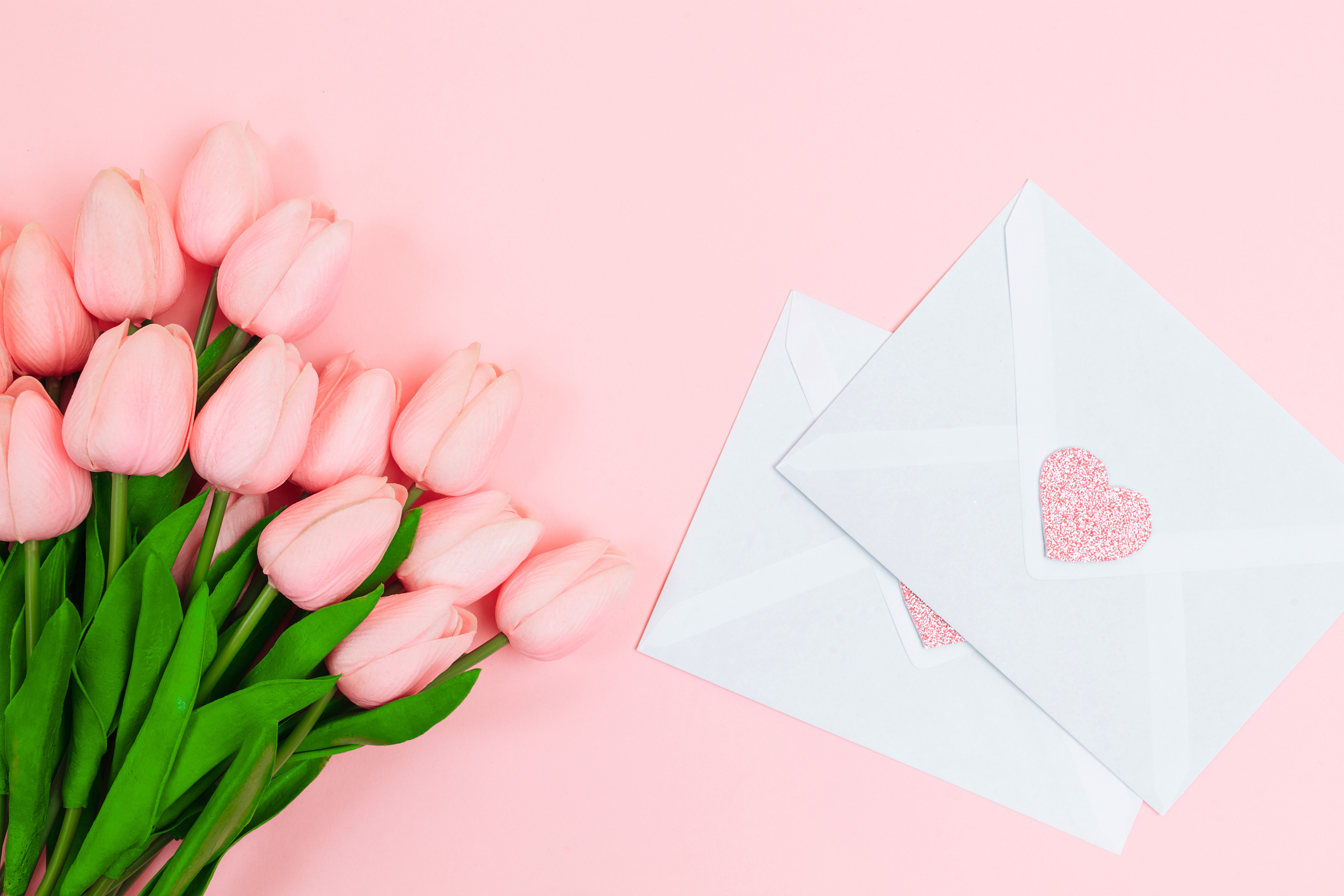 General gallery. Photographer Mark Dycmhenko