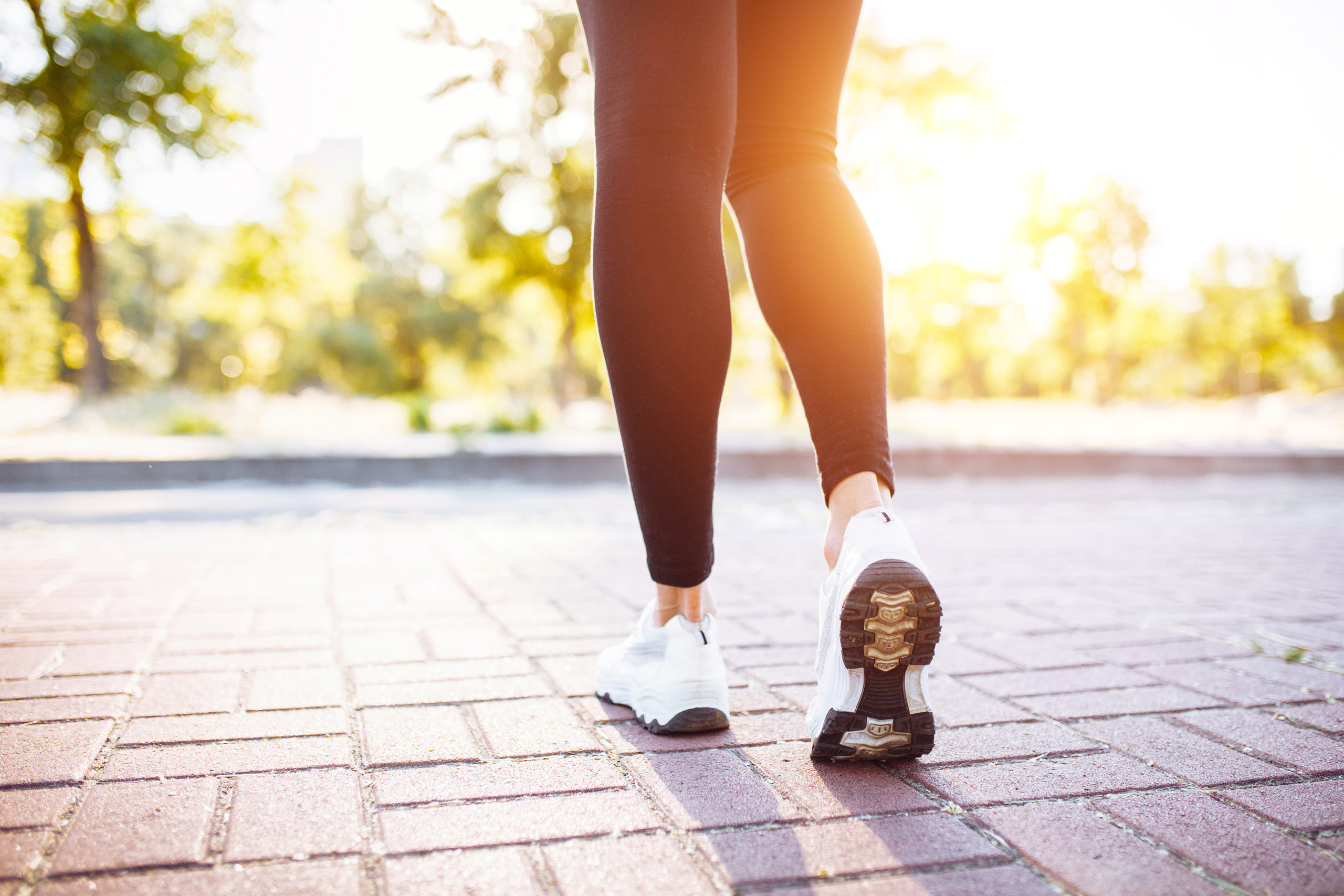 General gallery. Photographer Mark Dycmhenko