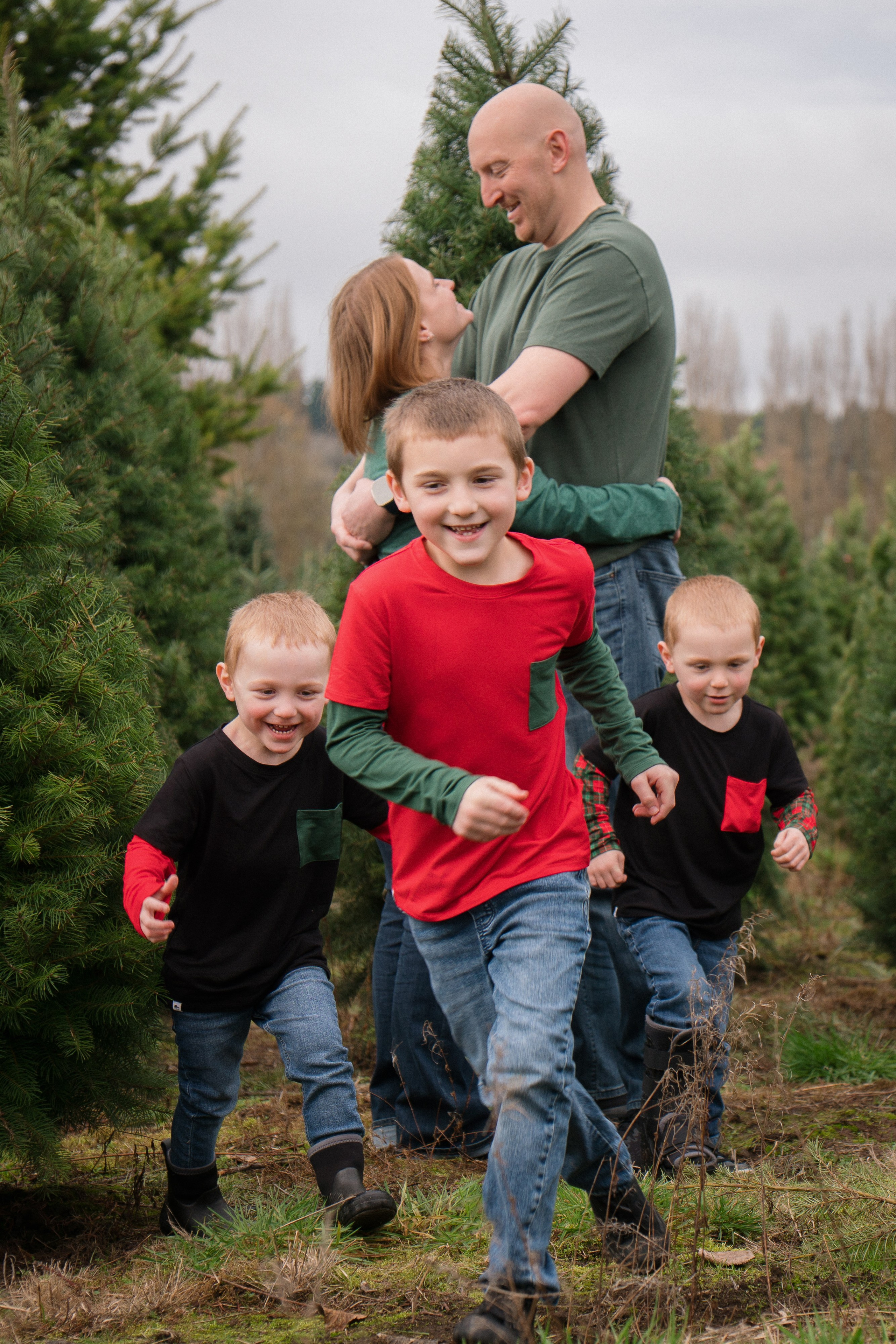 Christmas sessions. Photographer in Washington Sophia D