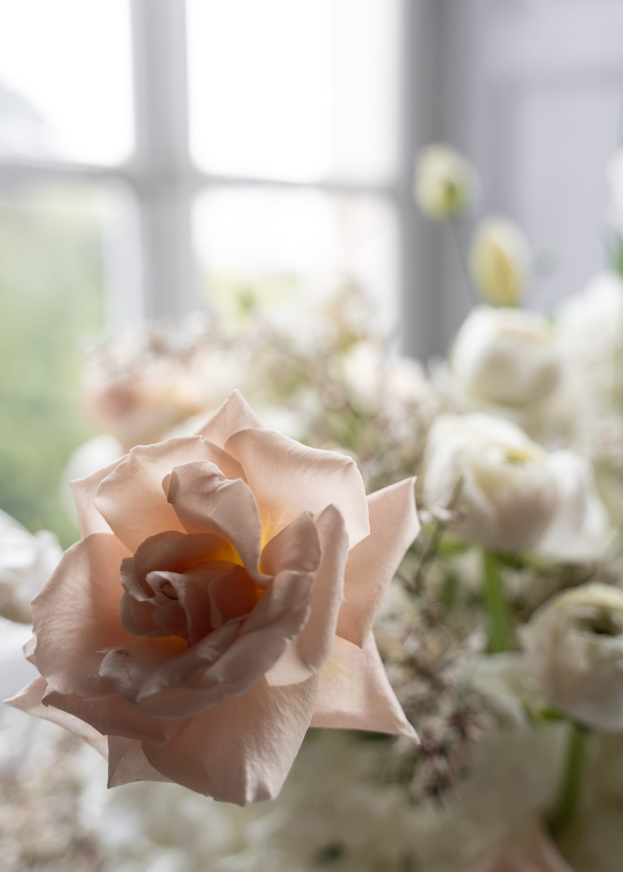 Intimate wedding in Milan. Proposal Photographer in Lake Como