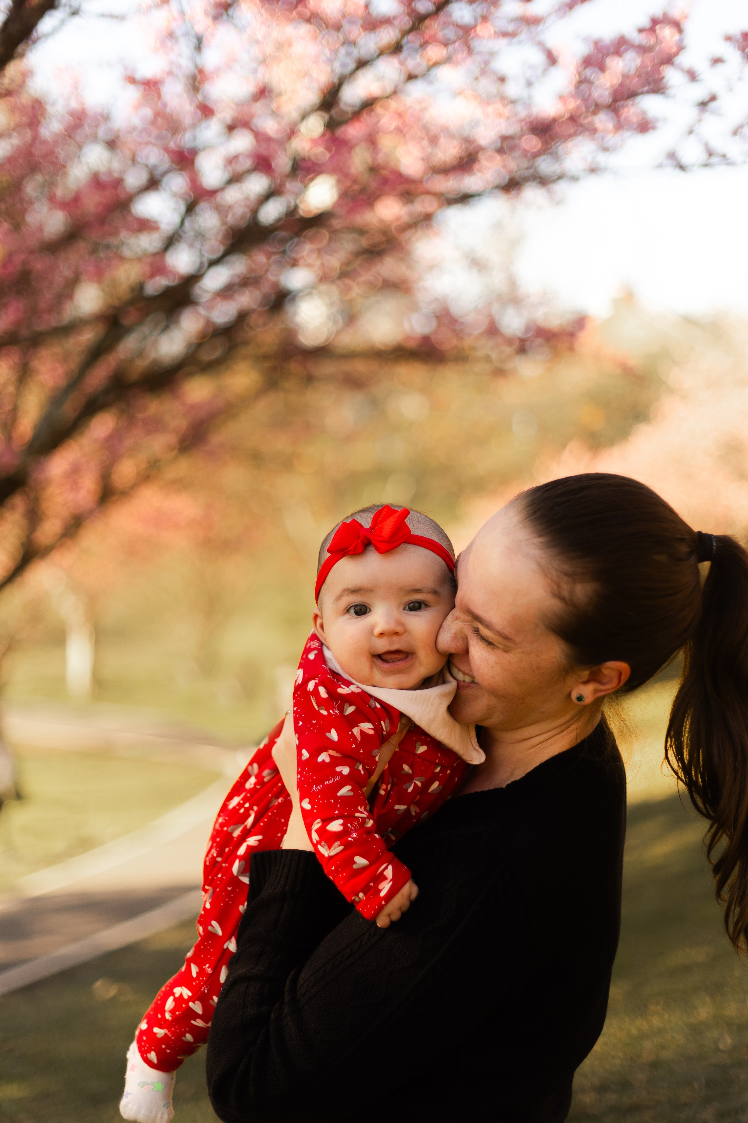Minha familia nas cerejeiras