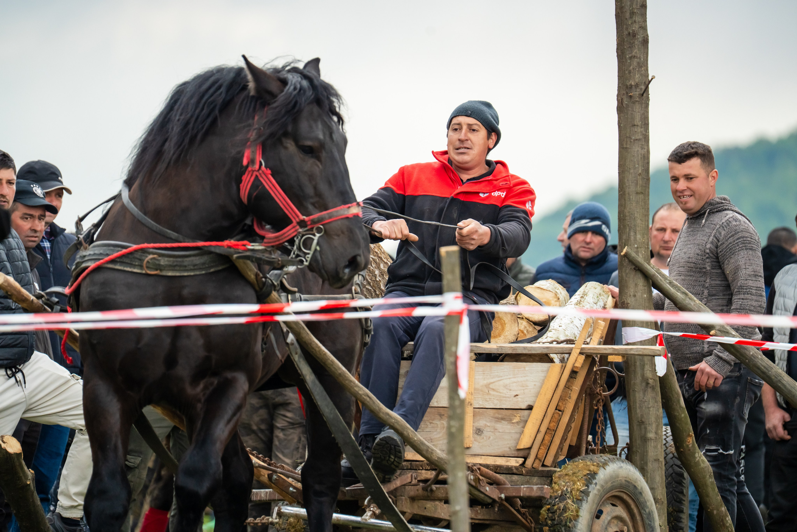 Concurs Ecvestru Vărbilău ediția a 4-a. Mihai Alexandra Events