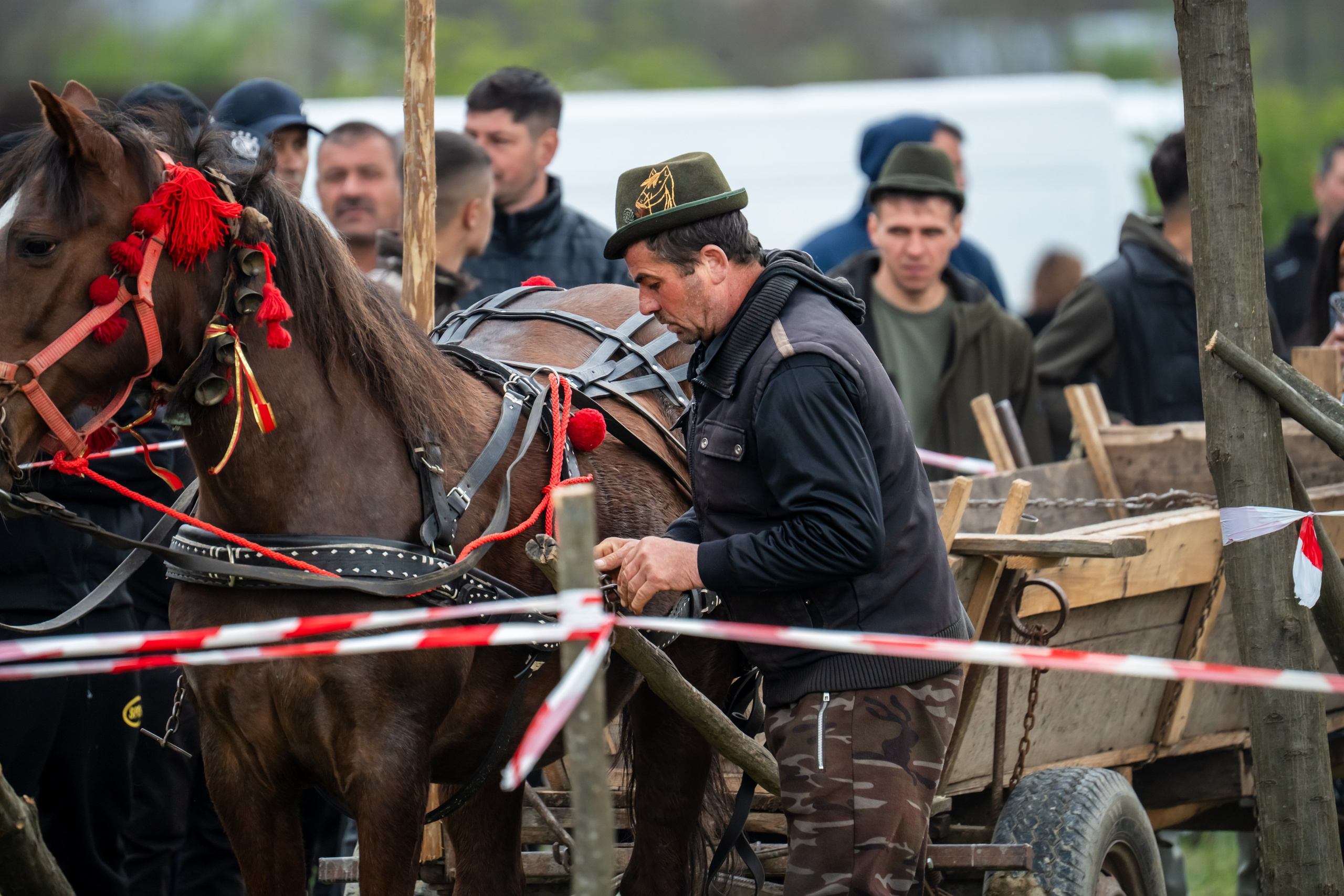 Concurs Ecvestru Vărbilău ediția a 4-a. Mihai Alexandra Events