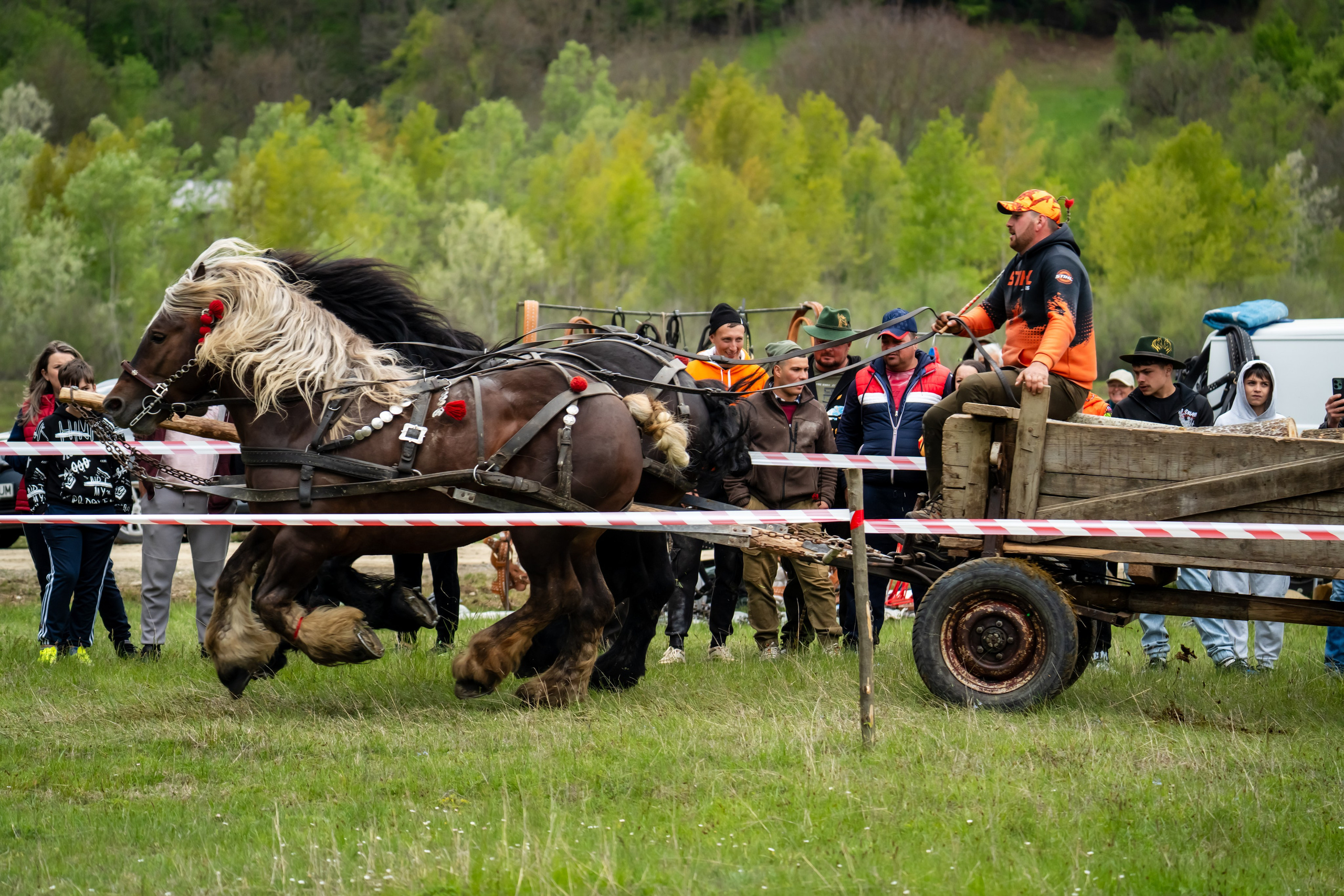 Concurs Ecvestru Vărbilău ediția a 4-a. Mihai Alexandra Events