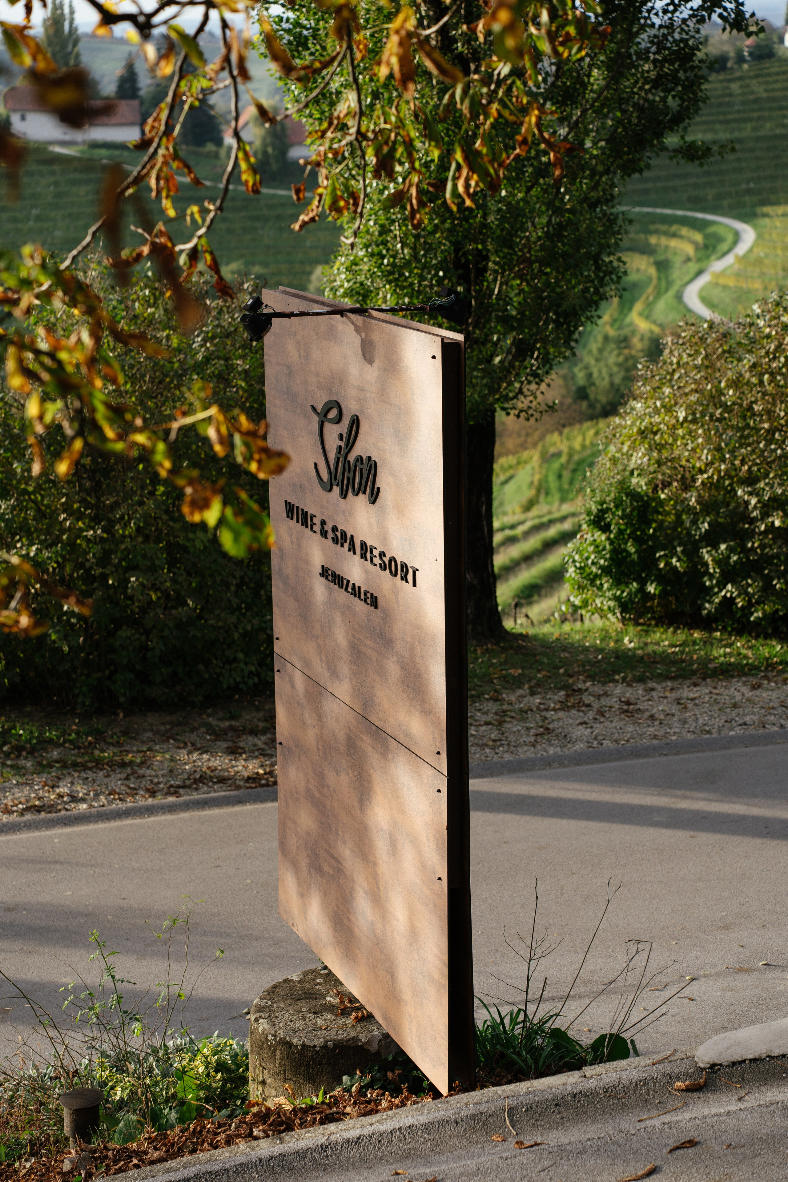 A dreamy scenery. Patricia Morenci — Mountain Adventures for the Wild at Heart