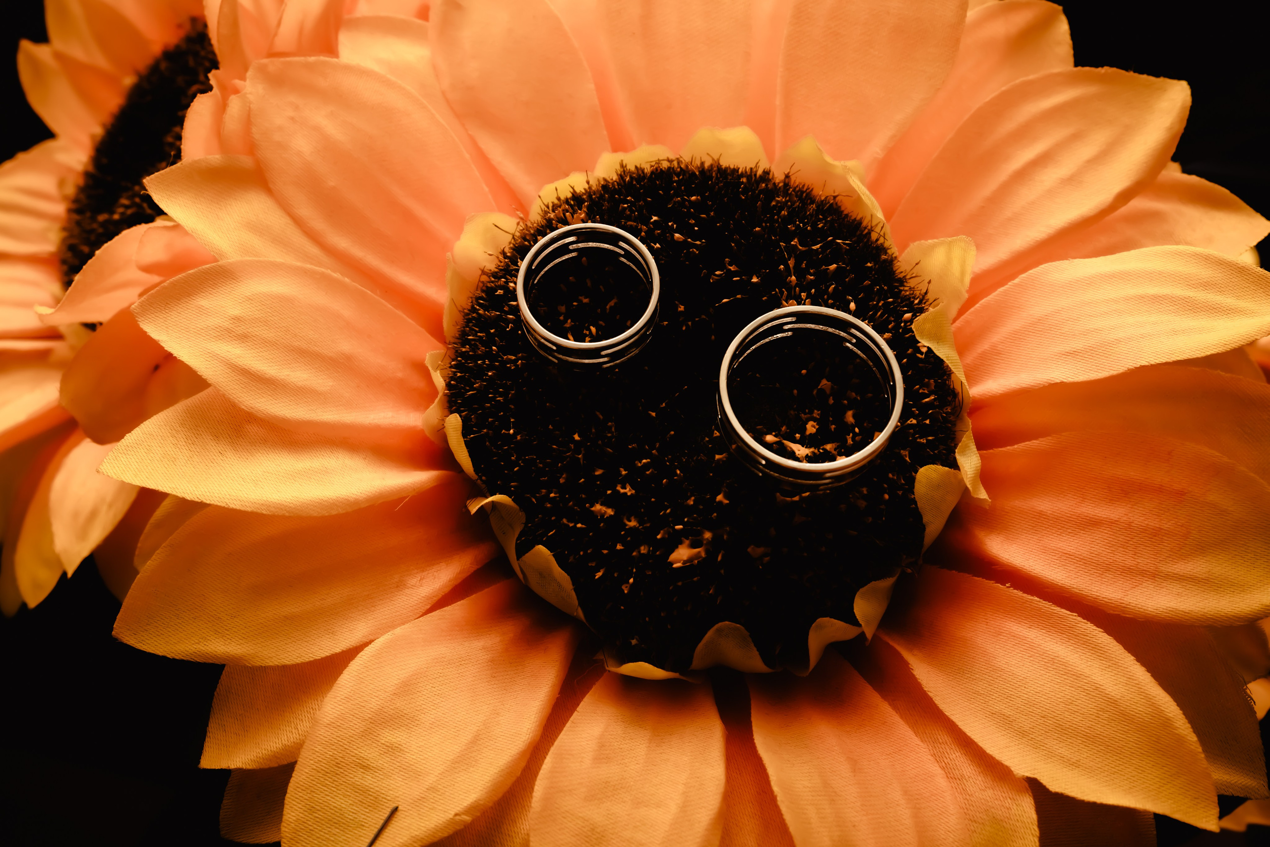 Inele de logodna. Stefan Teodorescu — Fotograf de Nunta