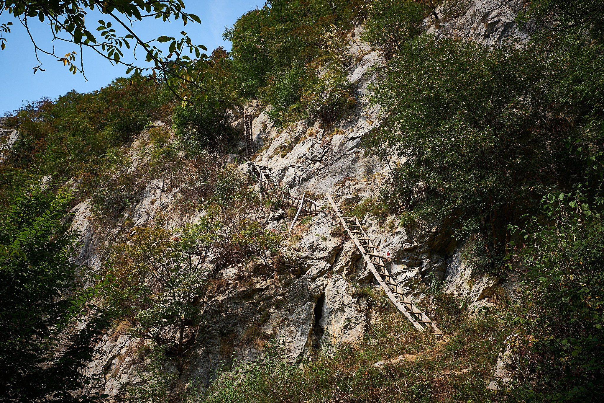 Ineleț, jud. Caraș-Severin. Pagina principală