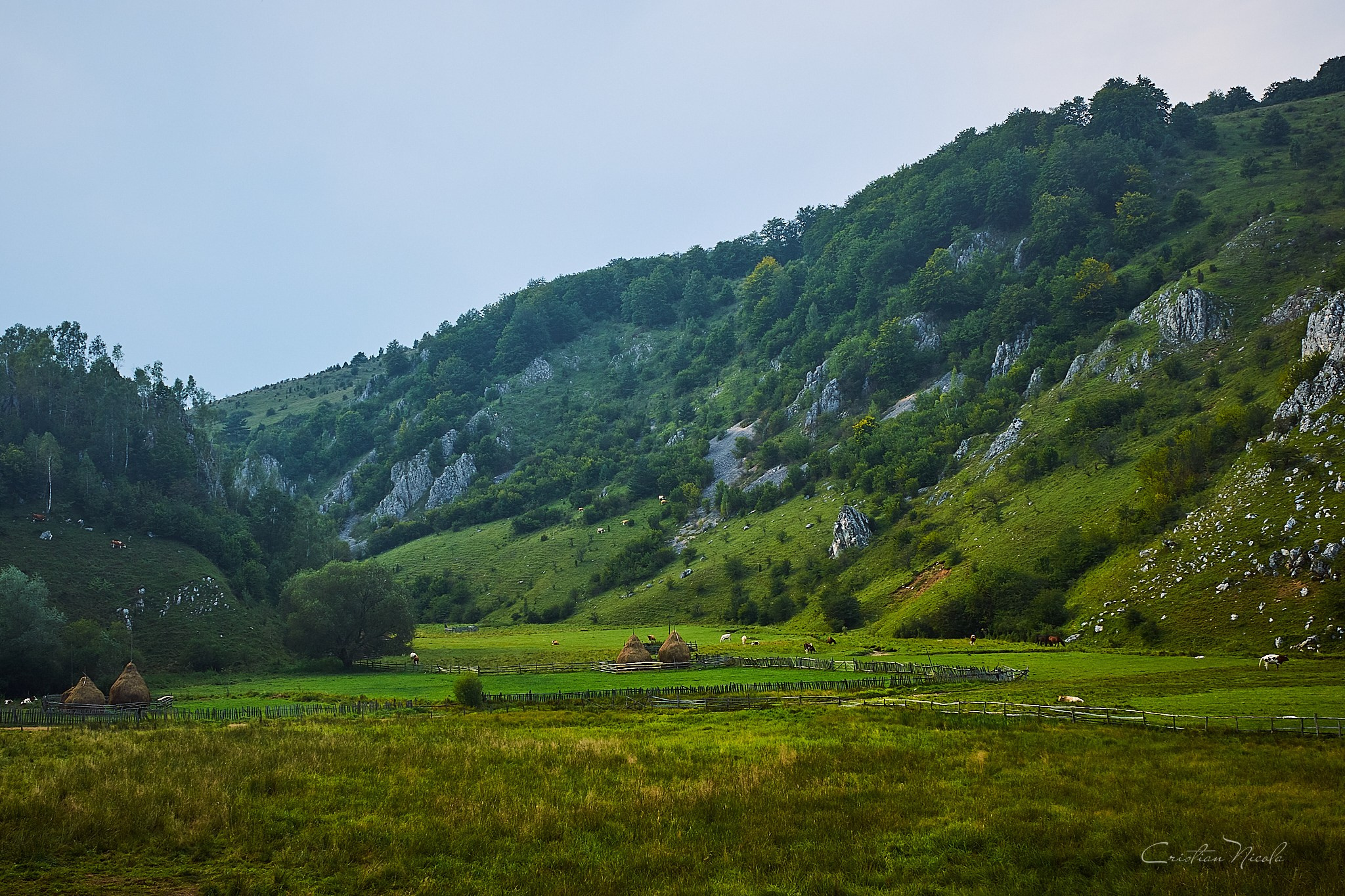 Fundătura Ponorului, jud. Humedoara. Pagina principală