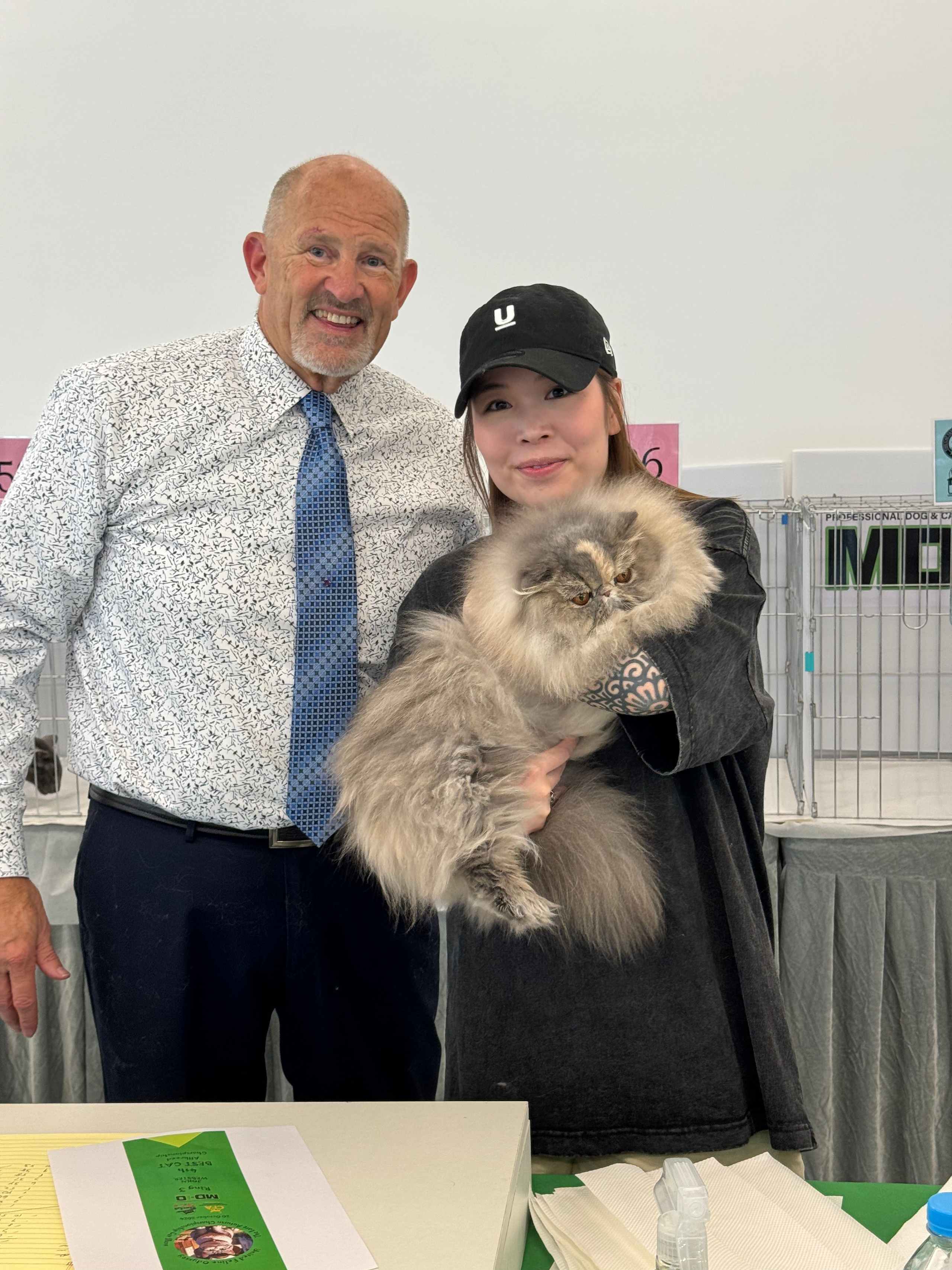 LEMON GREEN SIBERIANS LILA