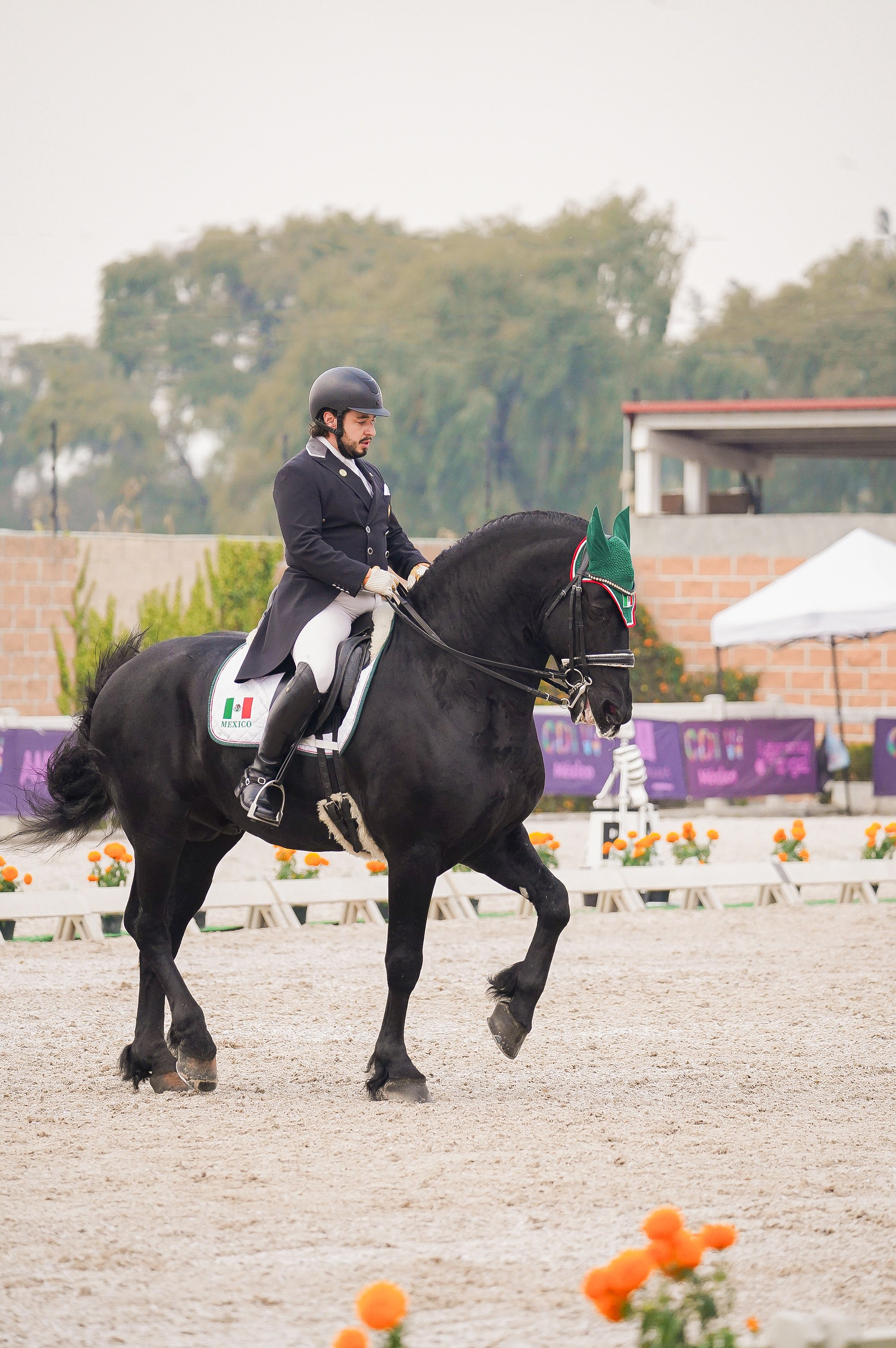 Sport events. Catrina Frolova photography