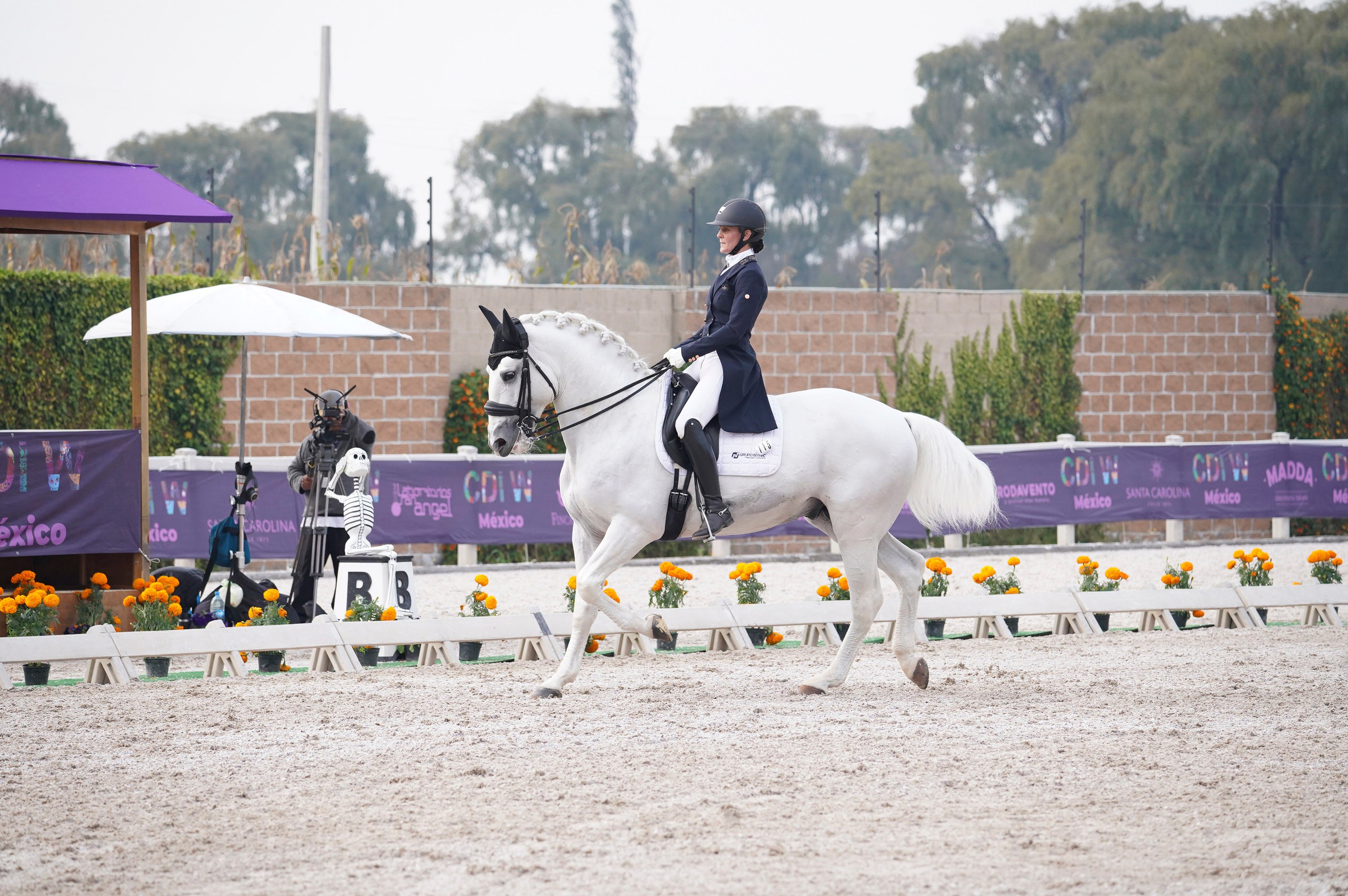 Sport events. Catrina Frolova photography