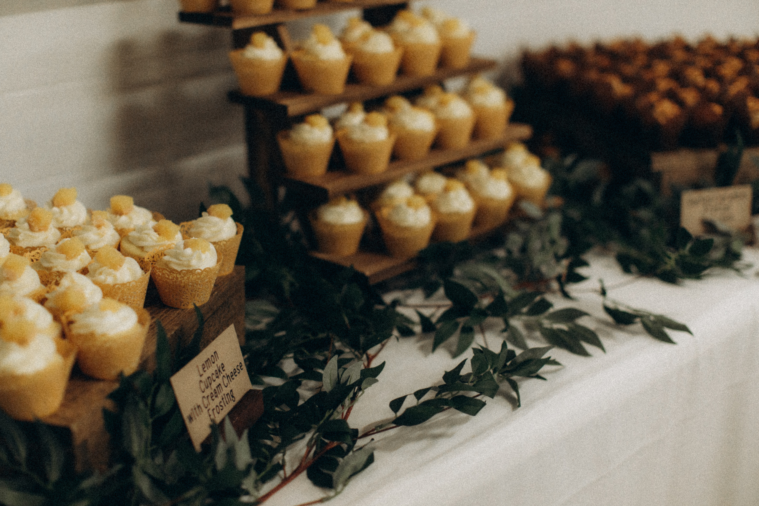 Phil & Bri (NE). CAPTURED BY SHANKS PHOTOGRAPHY