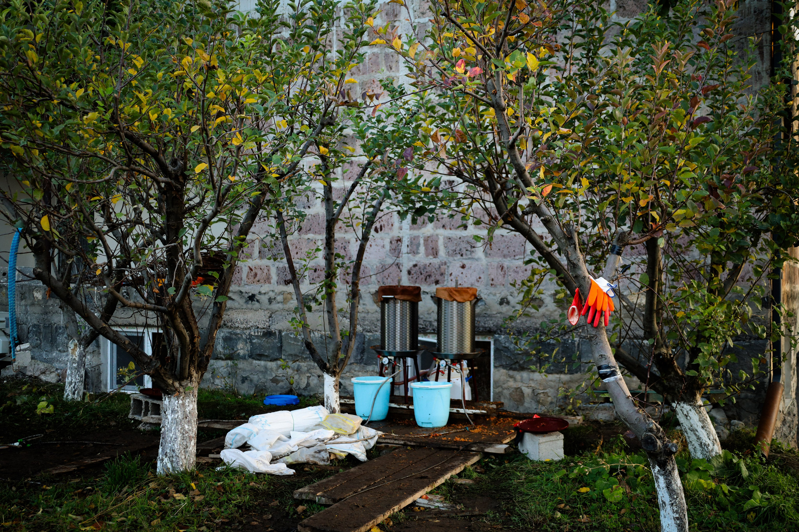 Factory reportage (hand-crafted cider). Asmikiam