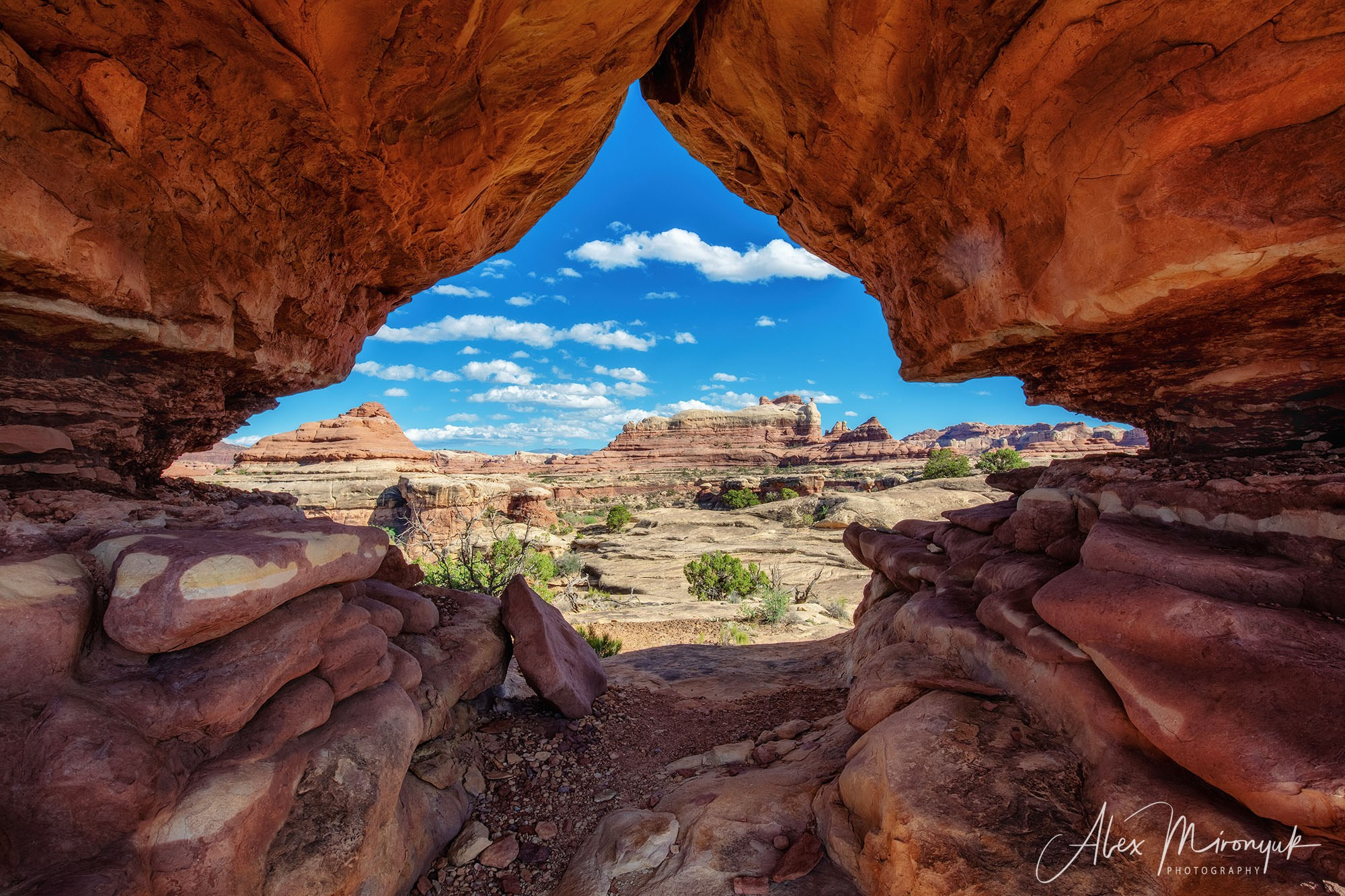 New Year In Utah. Pet, Senior, Landscape, portrait studio, photographer in Miami and Sou