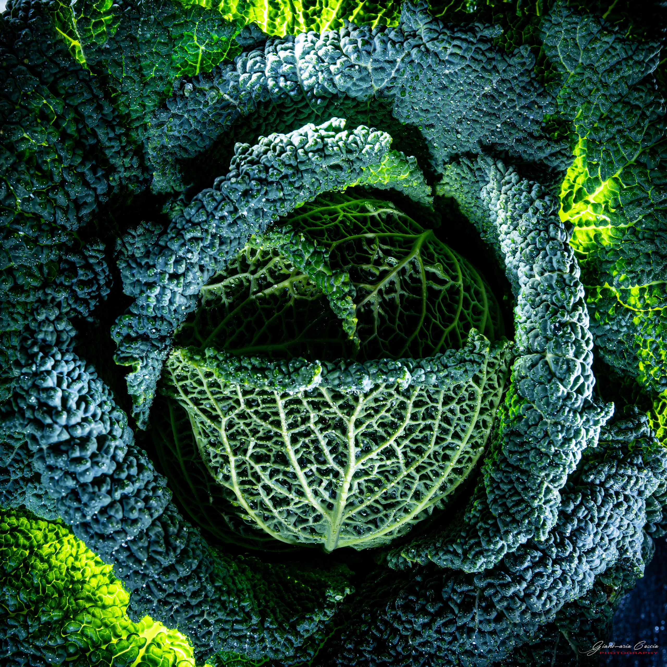 “Gianmaria Coscia fotografo per passione”