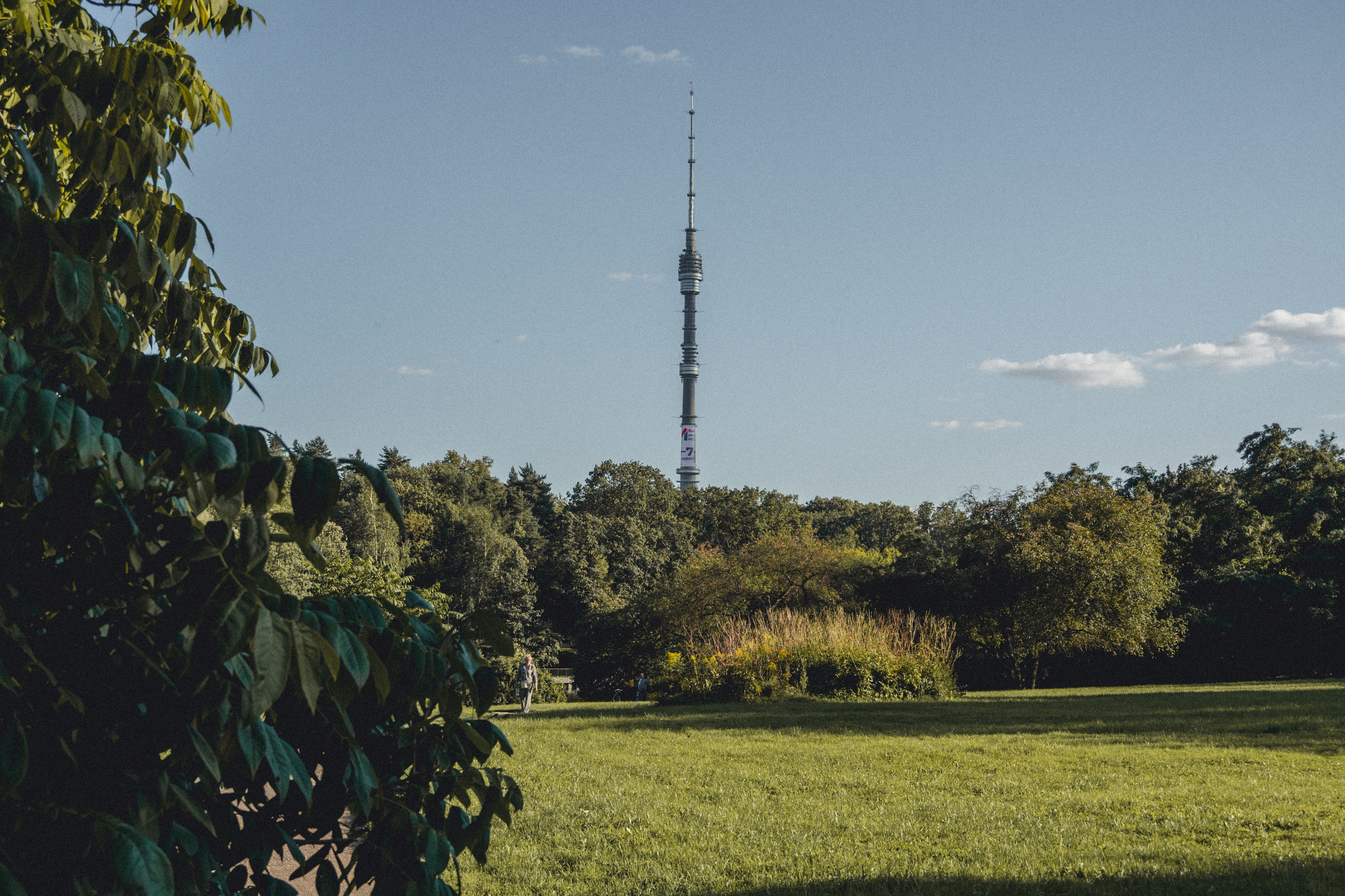 ВДНХ и Ботанический сад. Семейный и детский фотограф на Лазурном Берегу