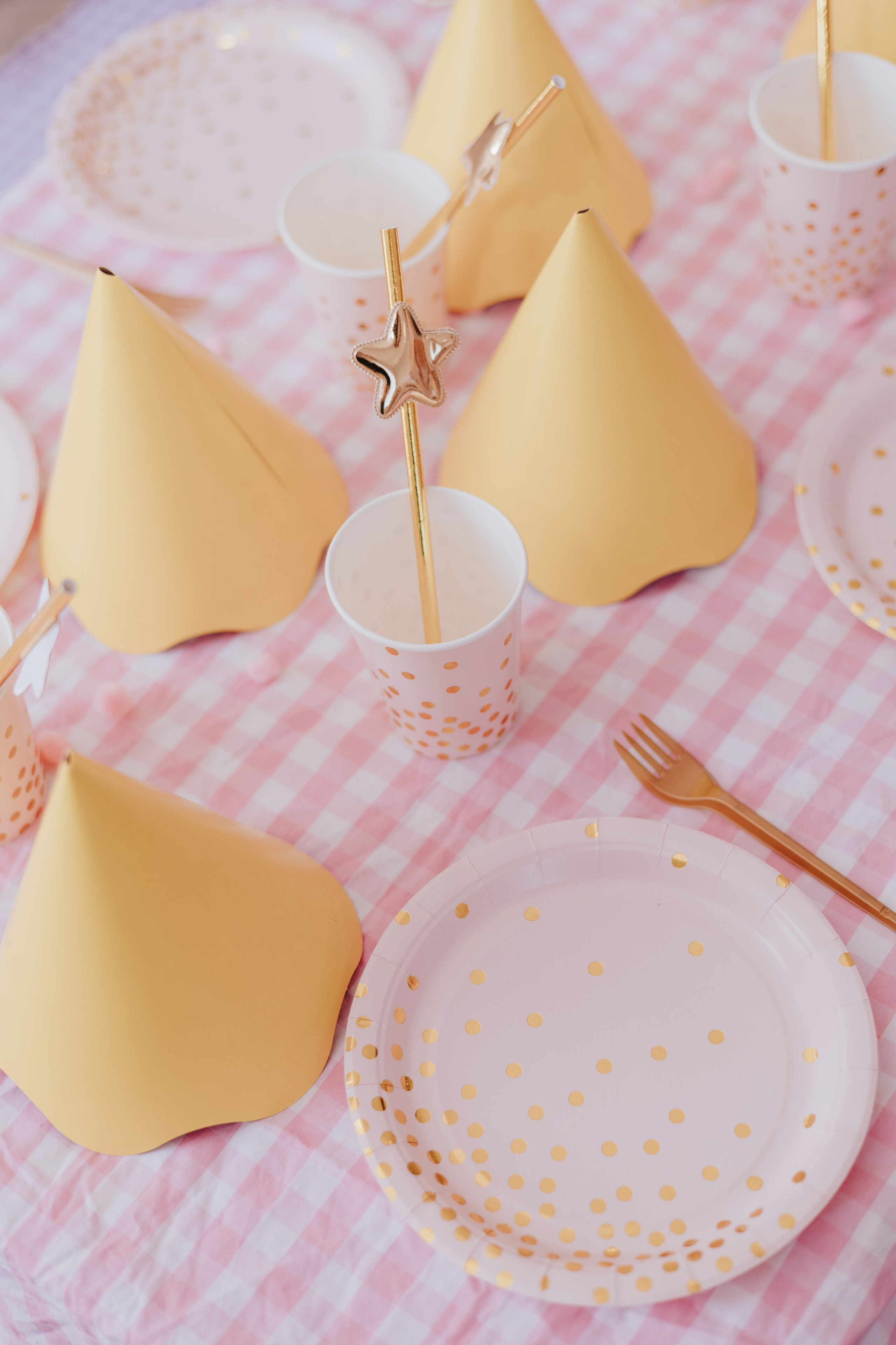 Cecília 2 anos. Fotografia de família e parto