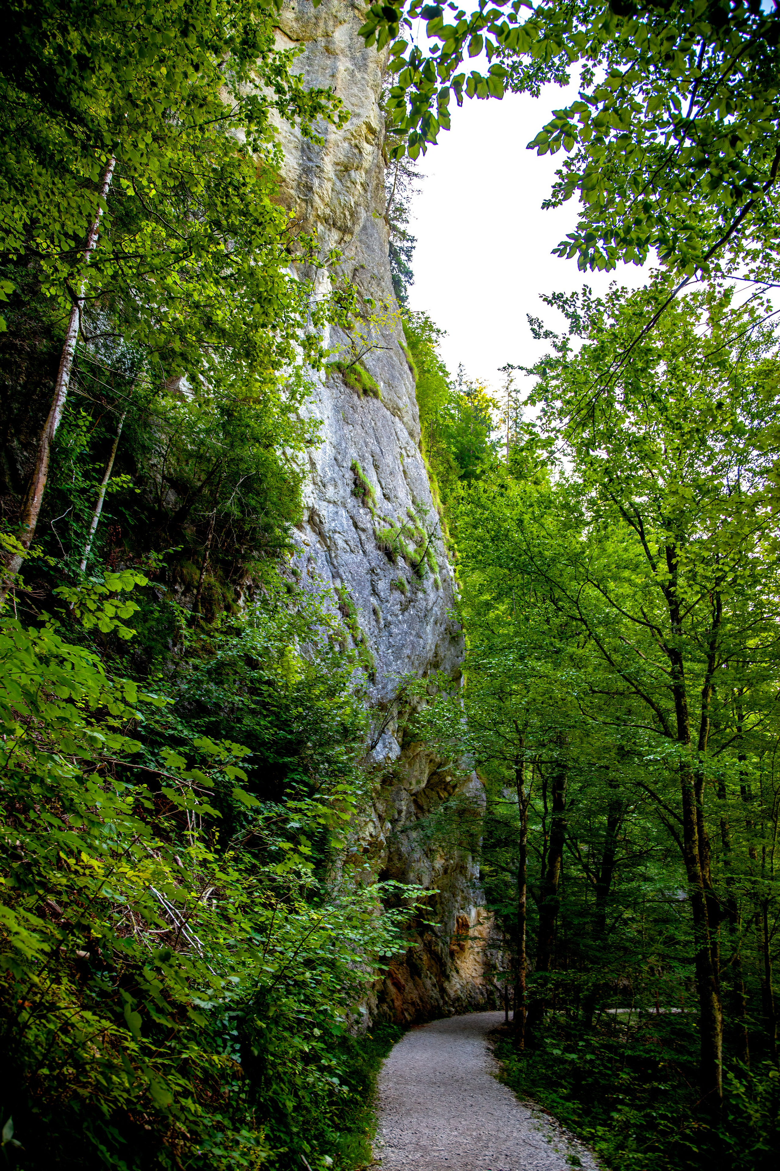 195.Nothklamm.Austria.20.8.2025. Путешествия в формате 360......