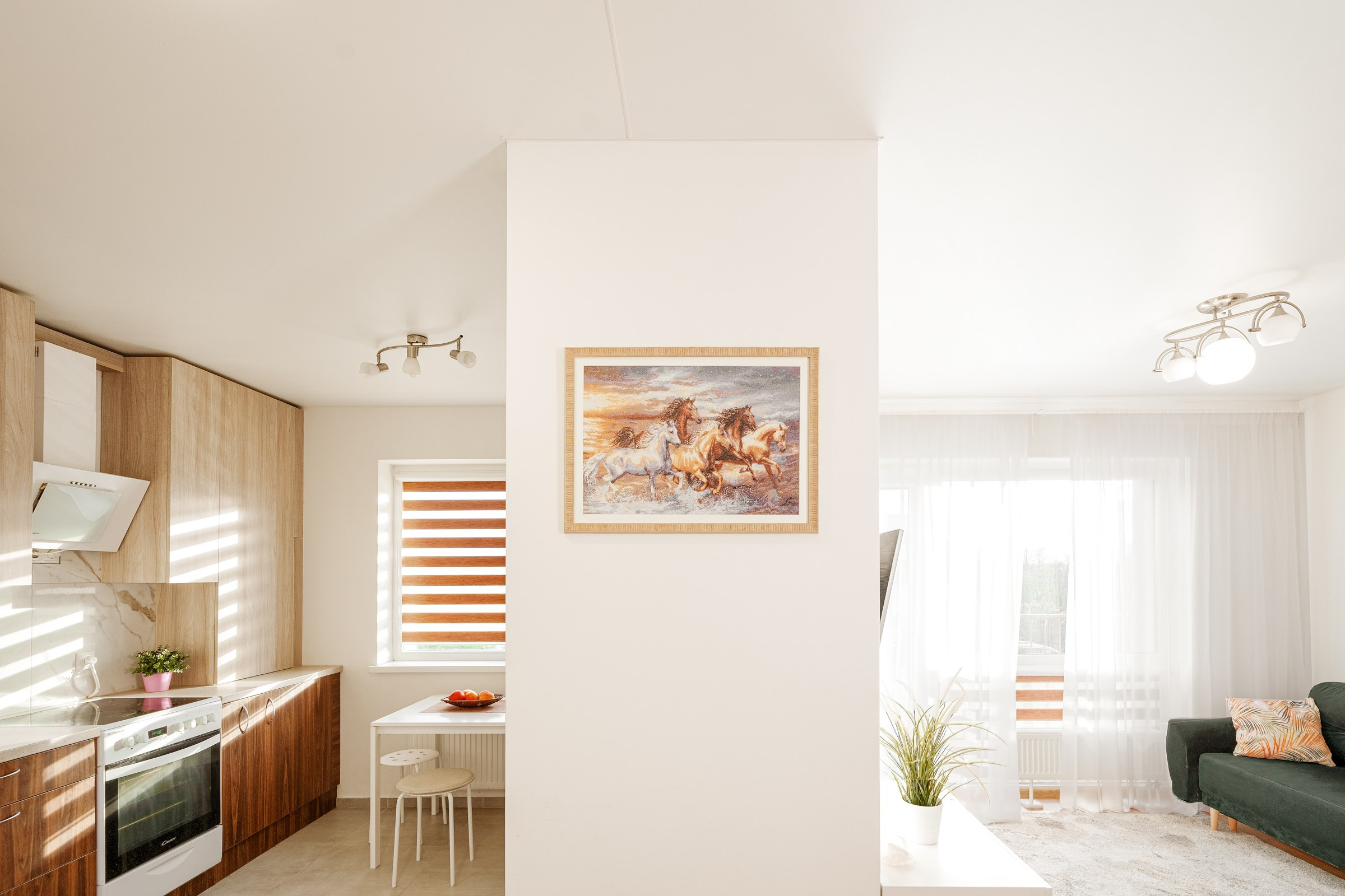 N.Lentvaris. Elina Sapiega fotografė Vilniuje