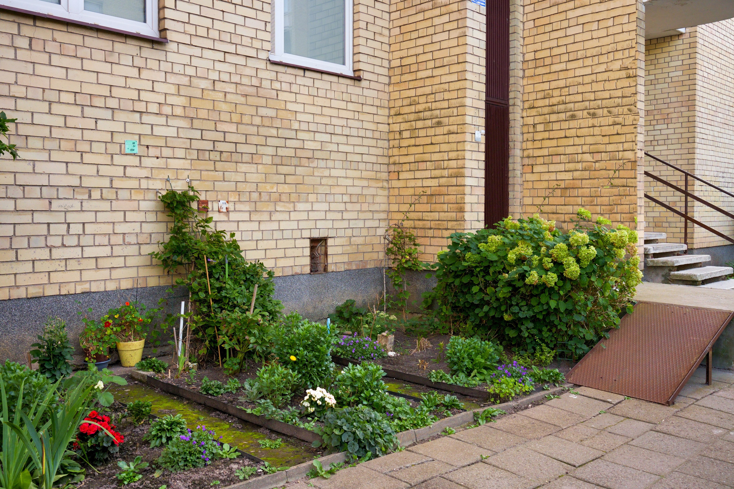 Linksmuoji g.49. Elina Sapiega fotografė Vilniuje