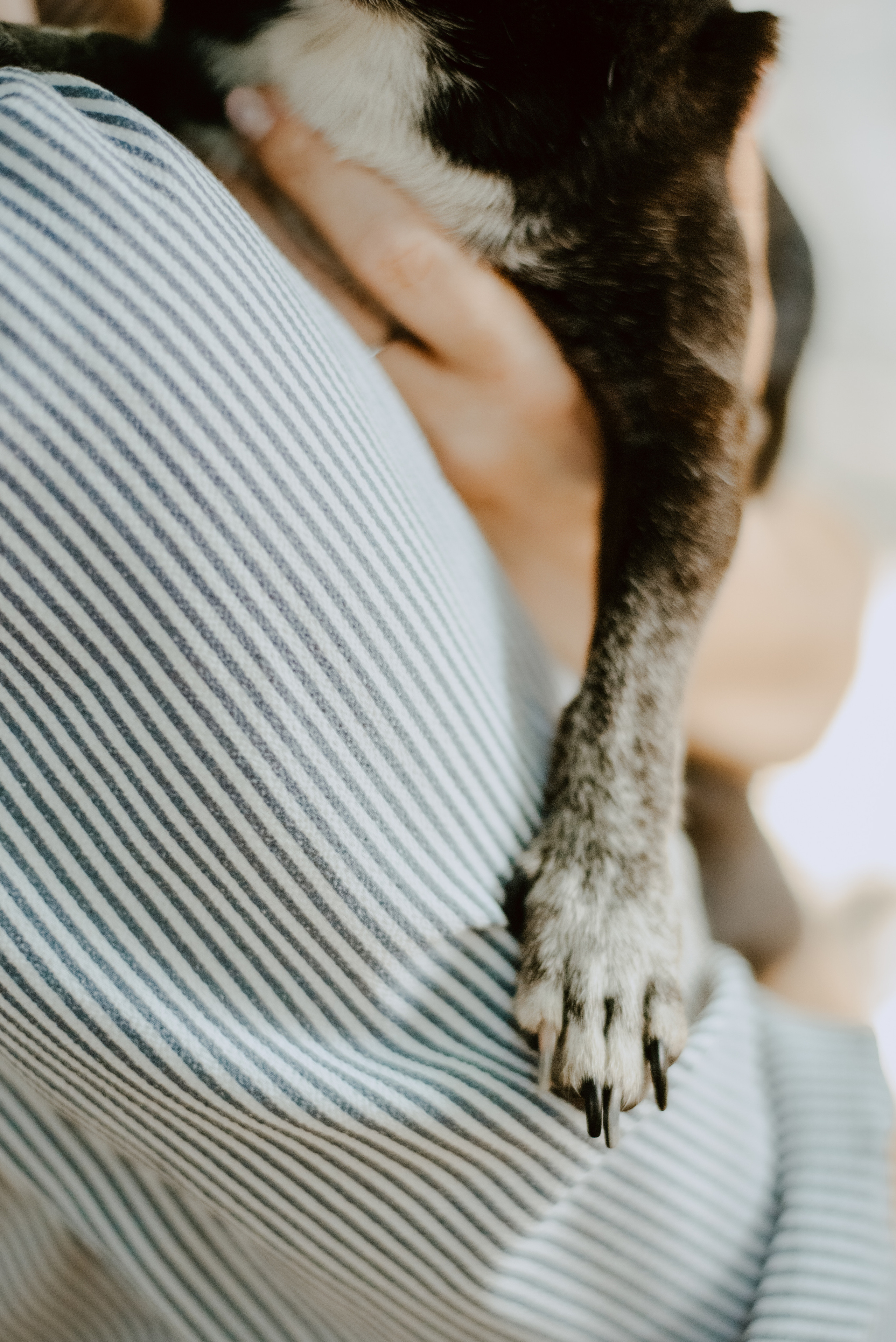 Rhiannon and Sasha. Lifestyle, wedding and family photographer