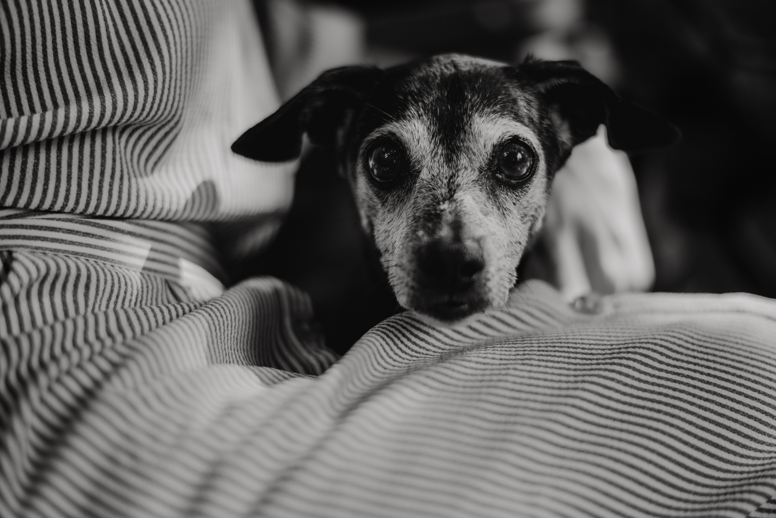 Rhiannon and Sasha. Lifestyle, wedding and family photographer