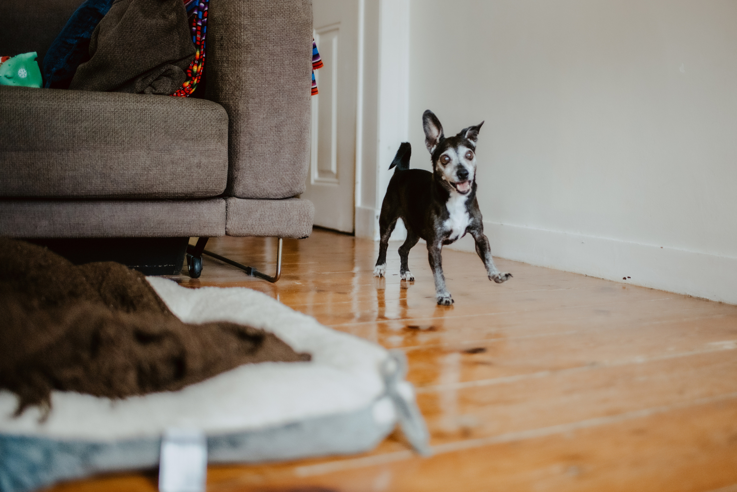 Rhiannon and Sasha. Lifestyle, wedding and family photographer