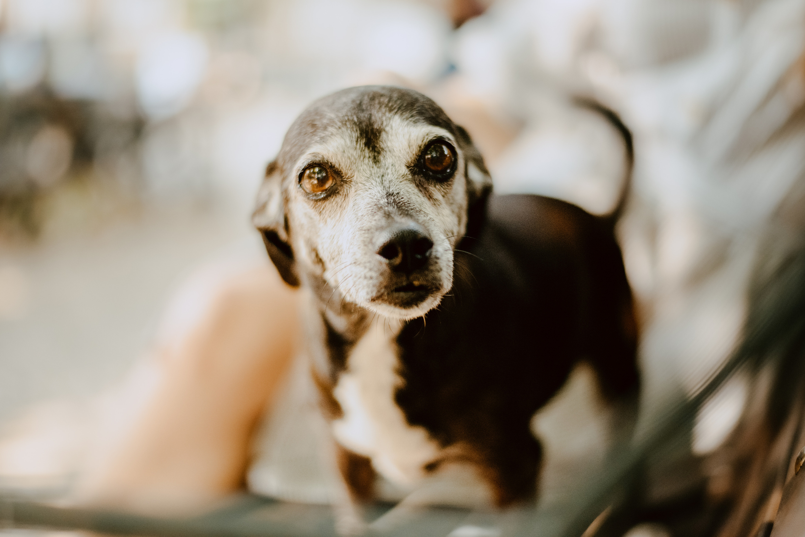Rhiannon and Sasha. Lifestyle, wedding and family photographer