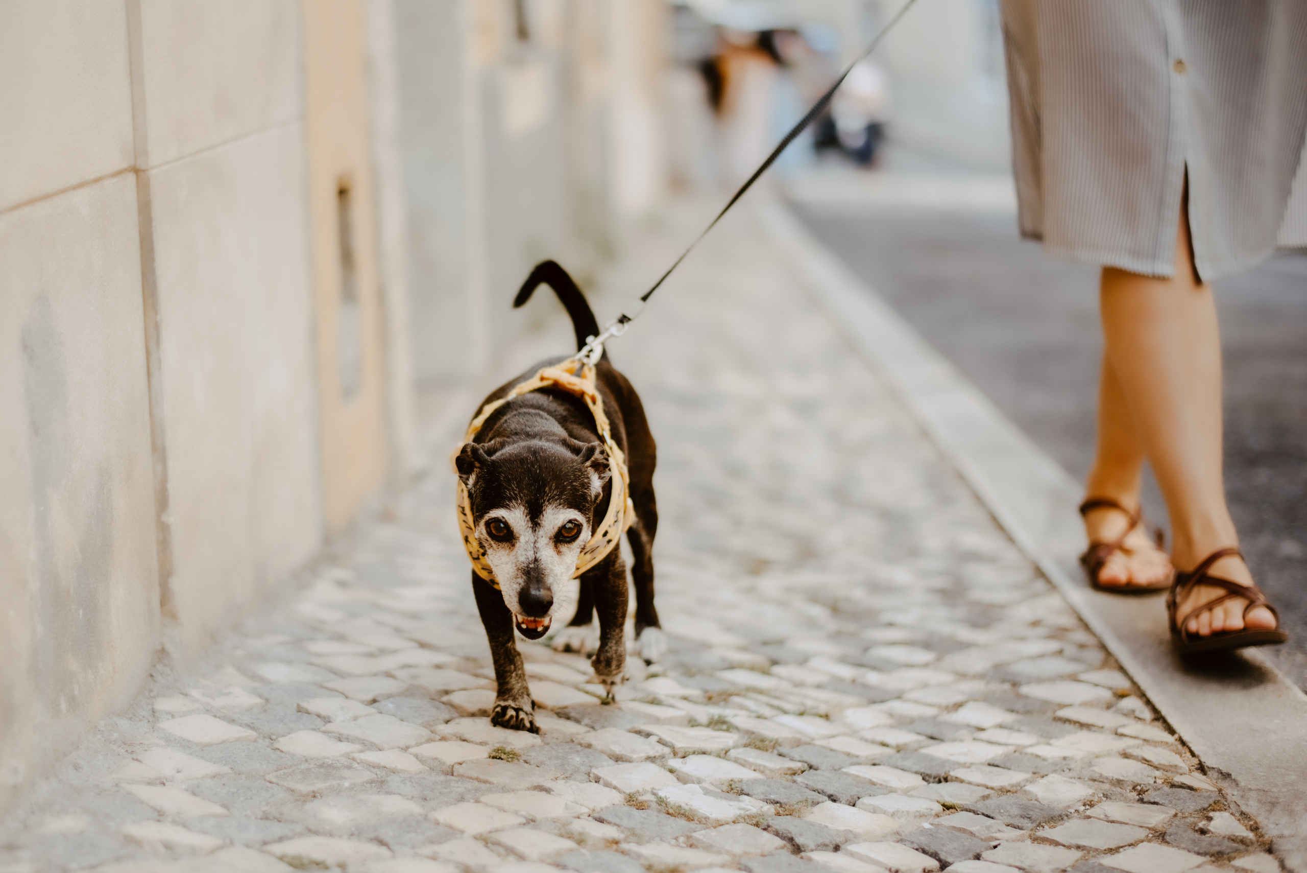Rhiannon and Sasha. Lifestyle, wedding and family photographer