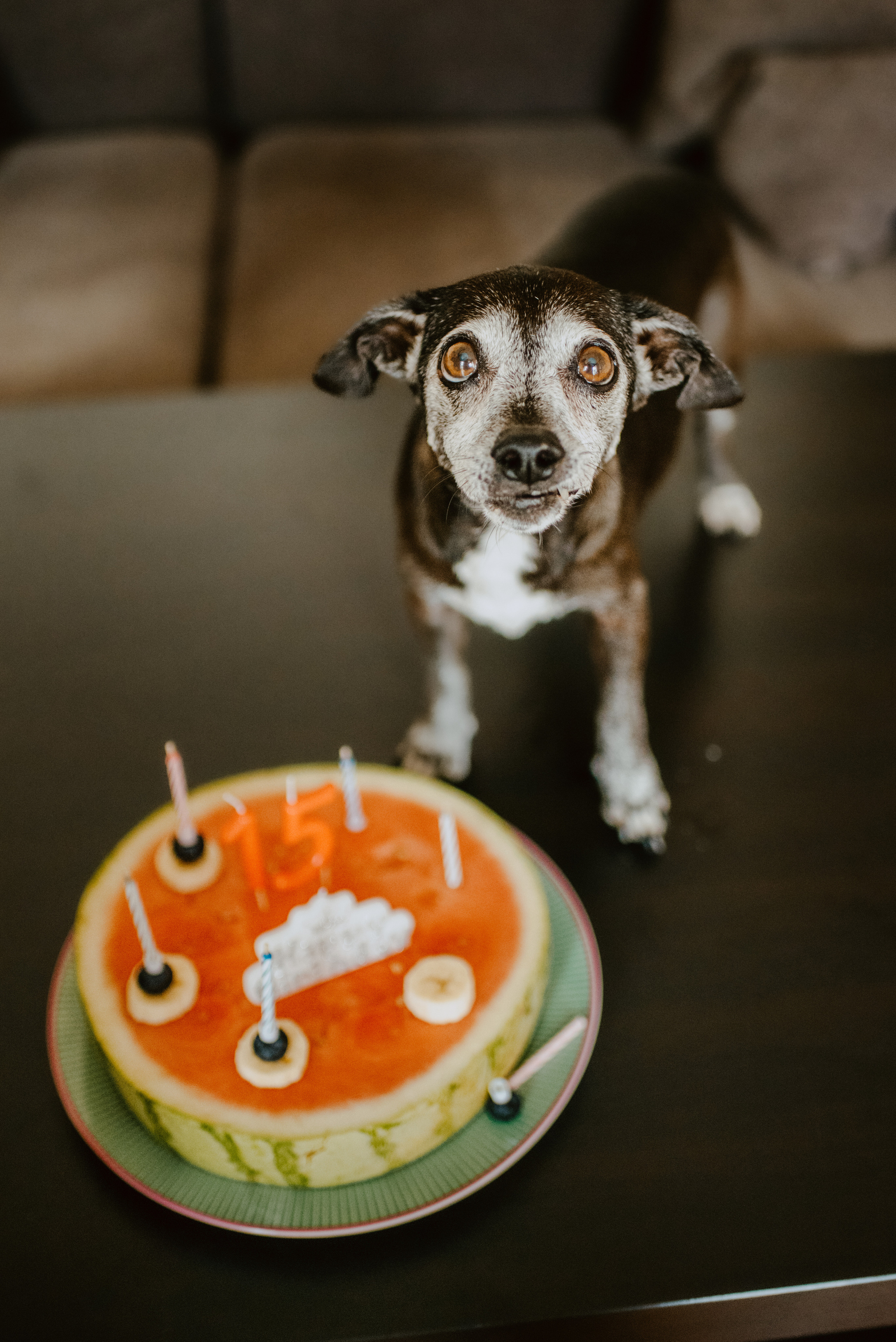 Rhiannon and Sasha. Lifestyle, wedding and family photographer