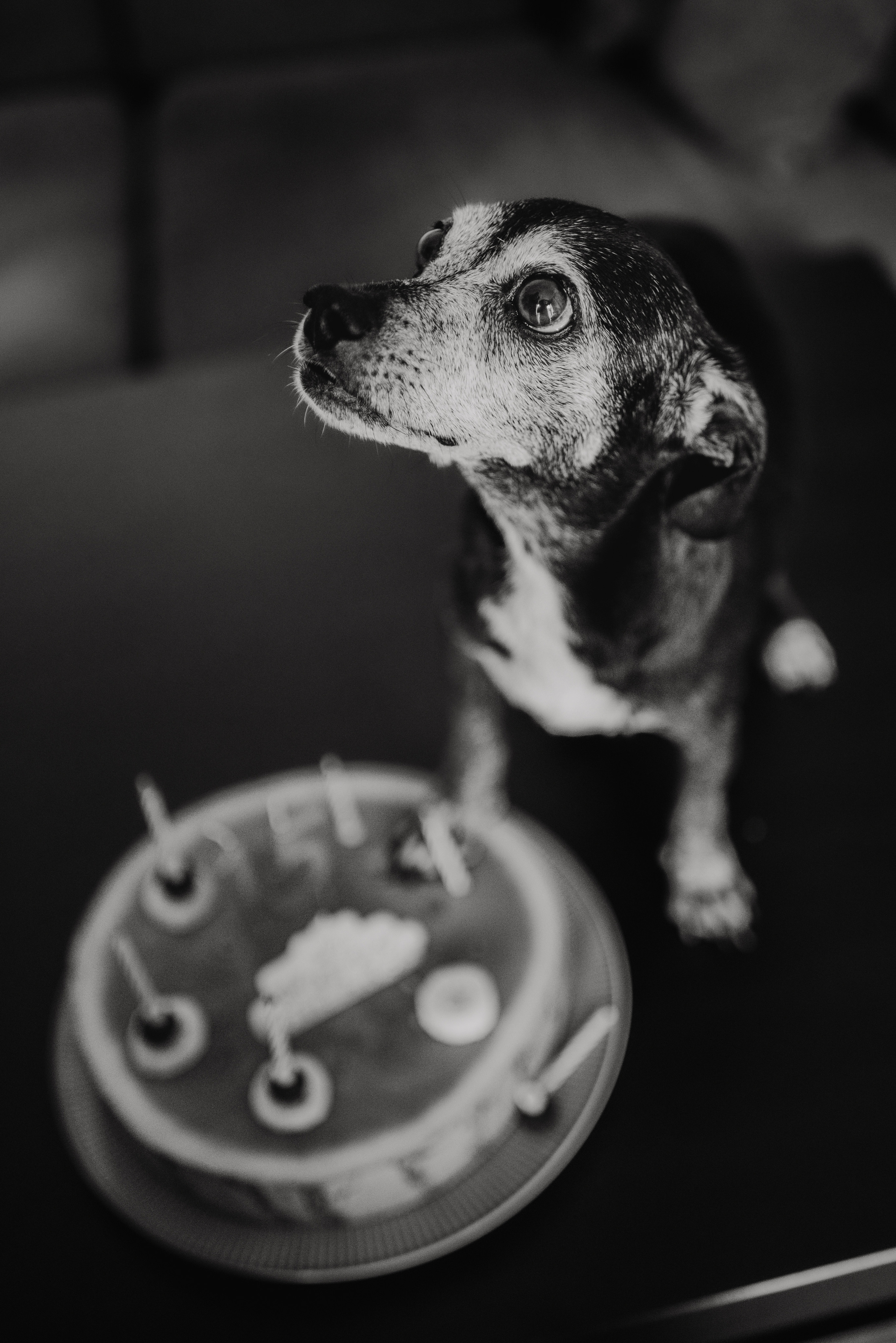 Rhiannon and Sasha. Lifestyle, wedding and family photographer