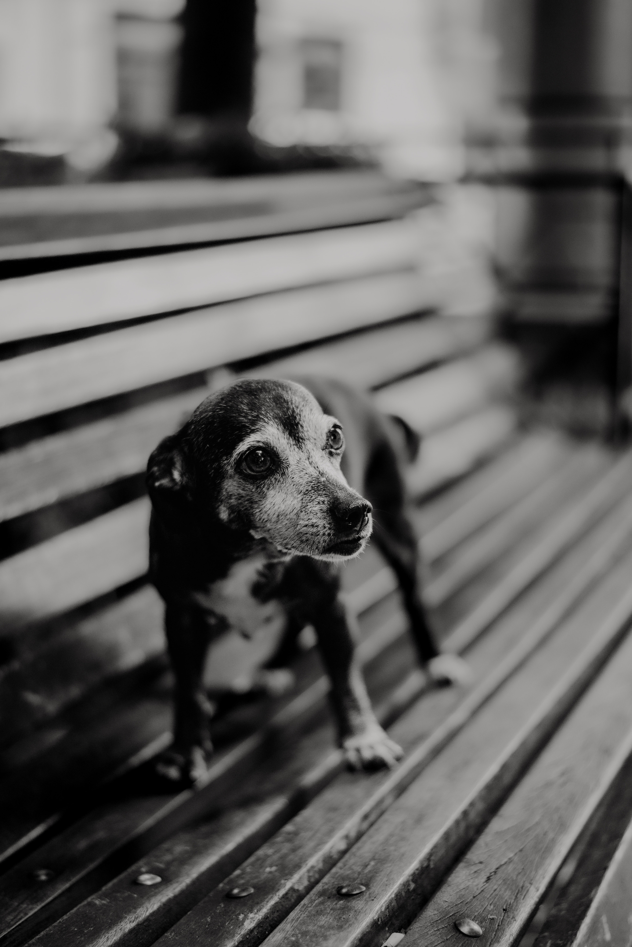 Rhiannon and Sasha. Lifestyle, wedding and family photographer